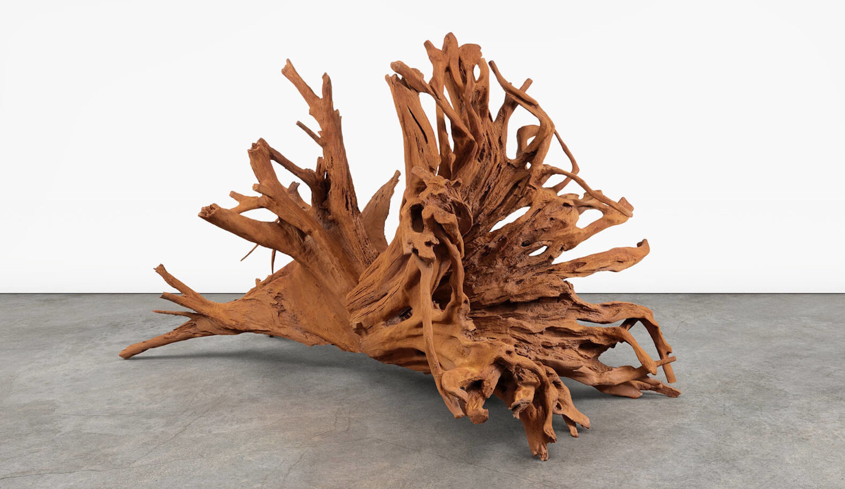 Roots Run Deep – The Work of Ai Weiwei