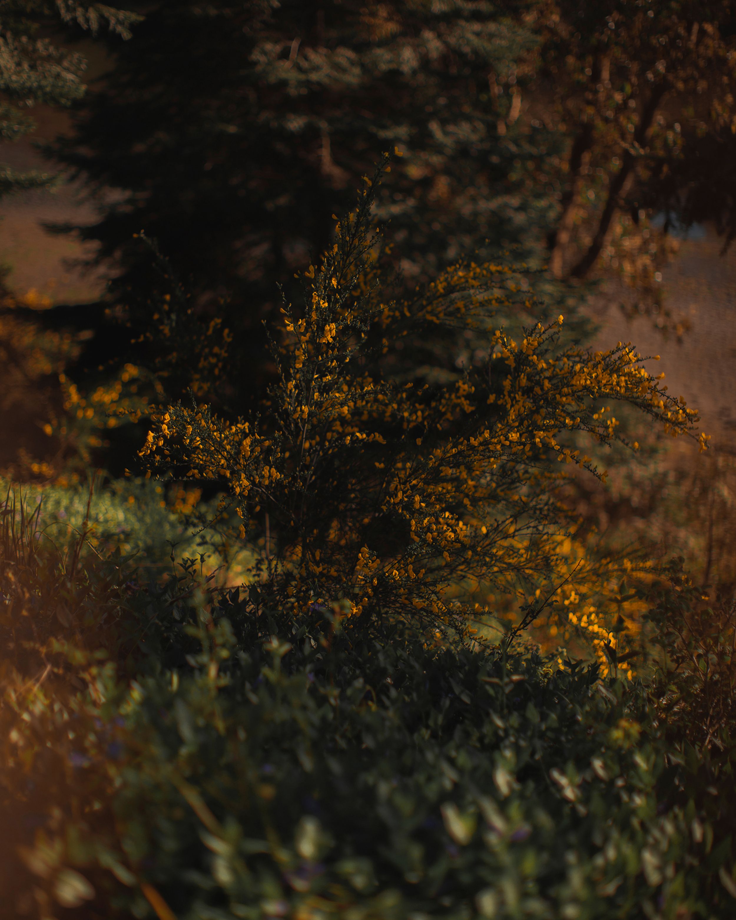 Urth Filter Kit Review "The Results are Incredible" · Urth Magazine