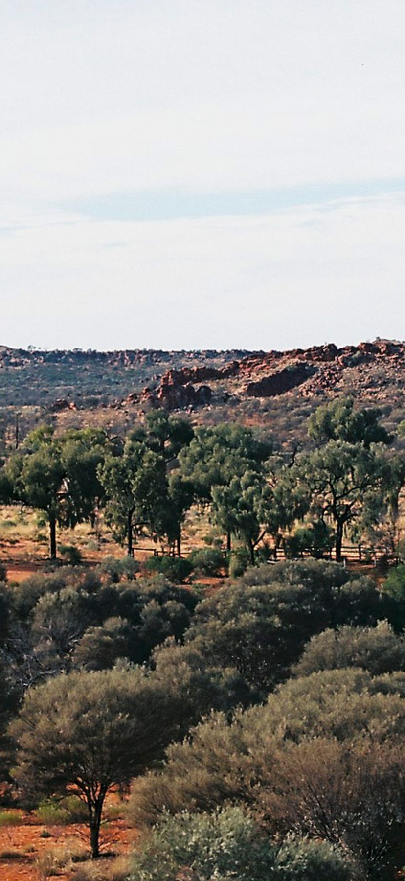 The Value of Indigenous Wisdom in Protecting the Environment