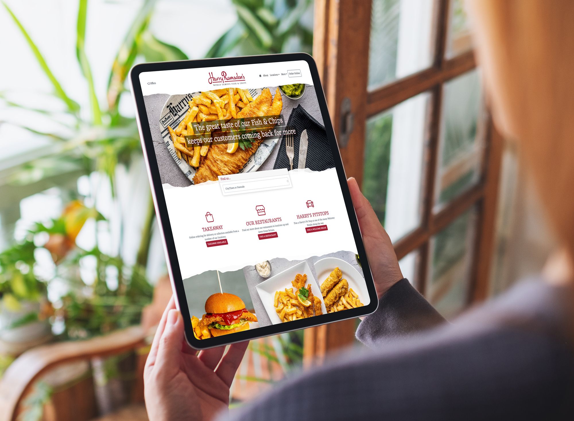 Web Design & Development