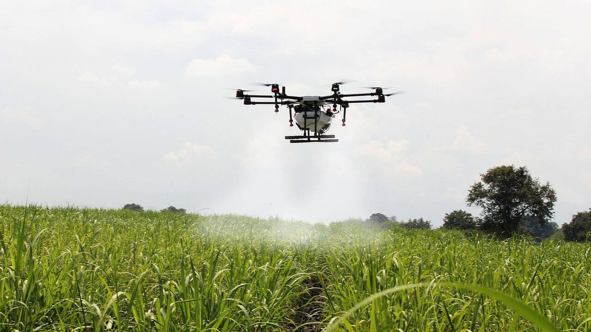 Zanzibar testira dronove