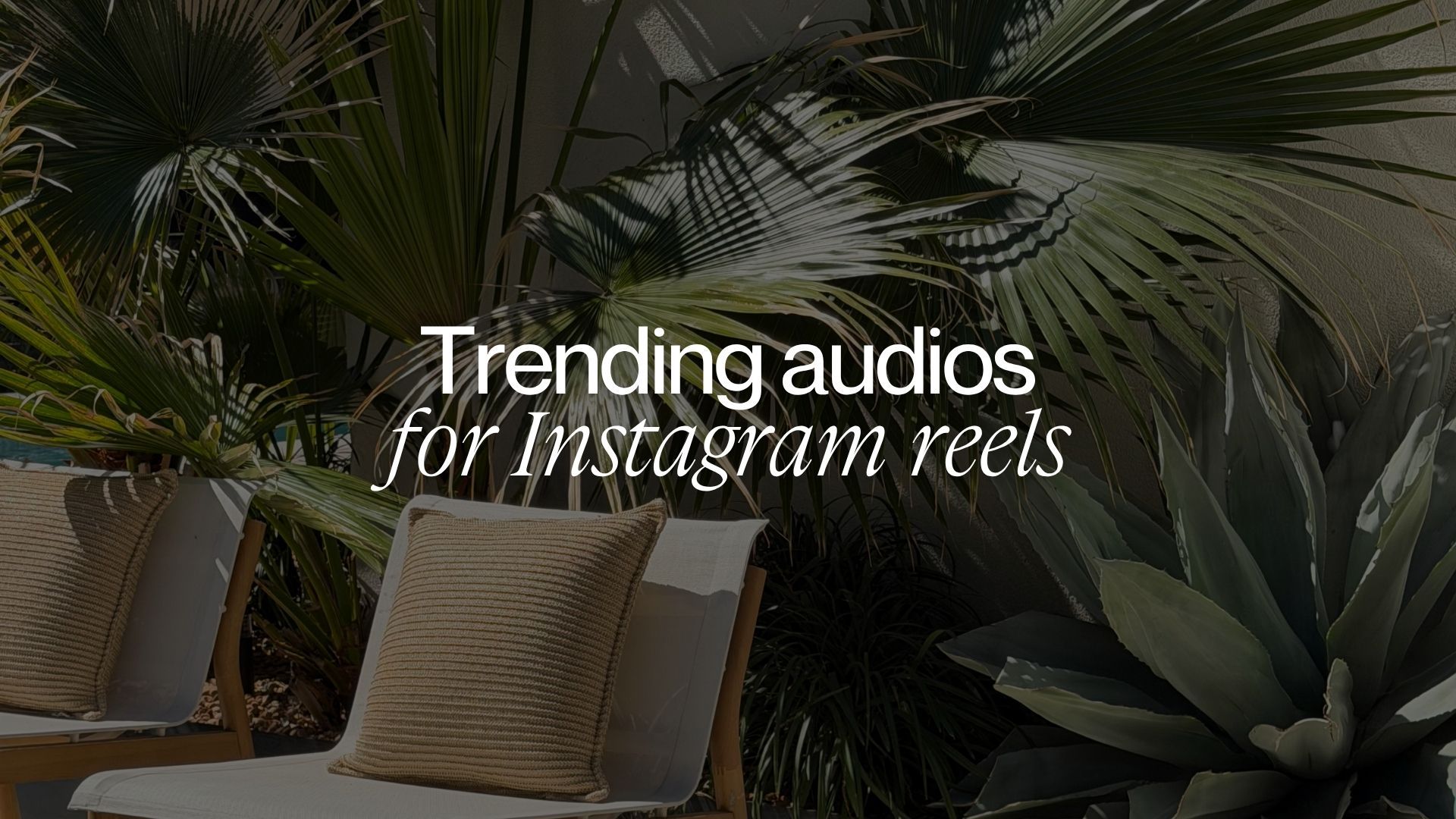 12 Trending Audios for Instagram Reels & How to Find Them