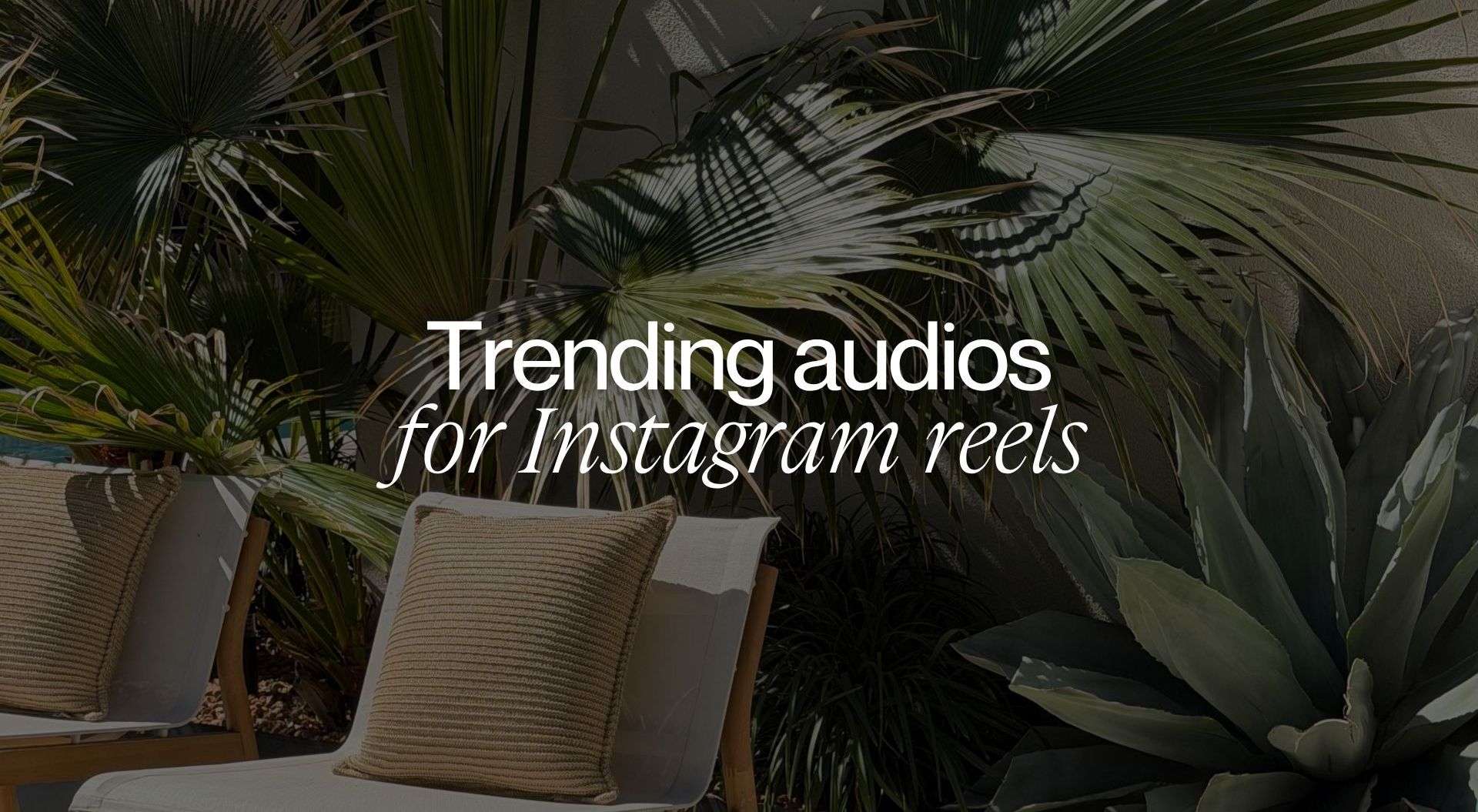 12 Trending Audios for Instagram Reels & How to Find Them