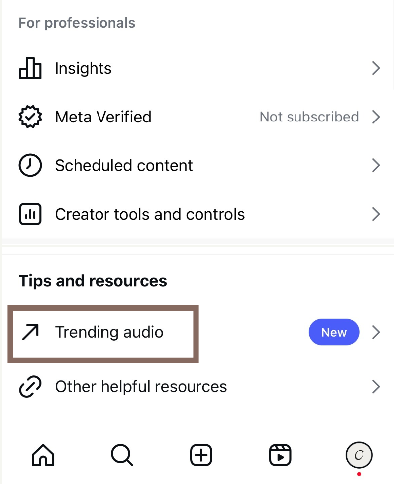 Find the tips and resources section on the professional dashboard to select trending audio for your Instagram reels