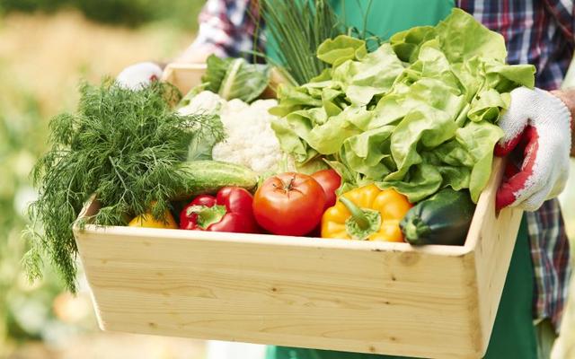 A person holds a wooden crate filled with freshly harvested vegetables, including lettuce, tomatoes, bell peppers, zucchini, cauliflower, and herbs, surrounded by a vibrant garden setting.