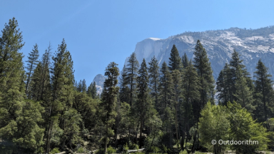 Summer Picture Yosemite