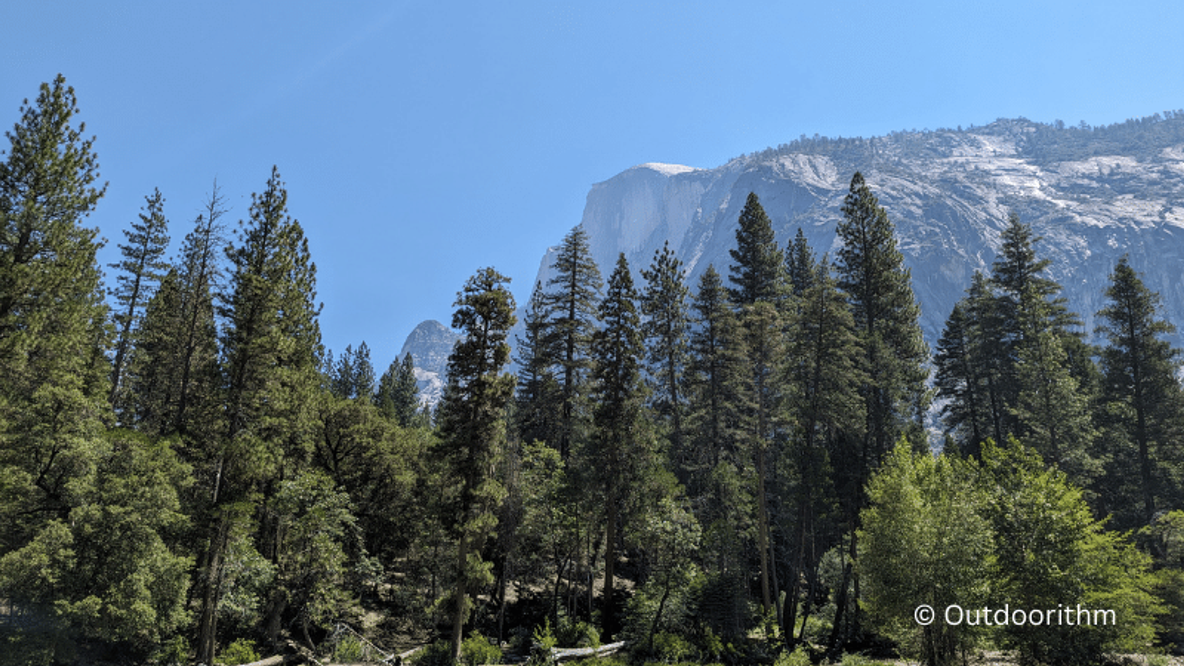 Summer Picture Yosemite