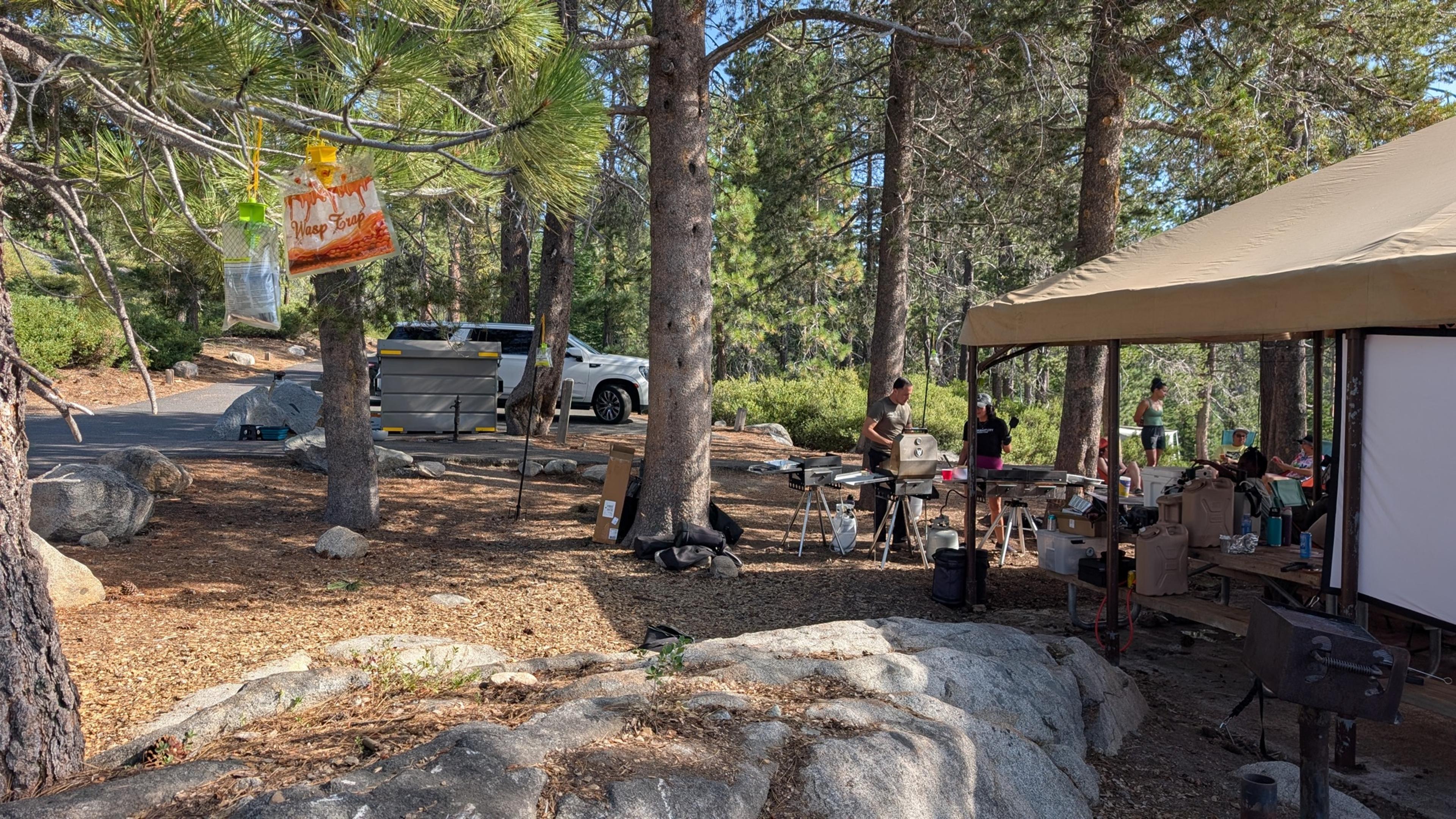 Yellow jacket traps hanging from a pine at the edge of camp with the covered dining canopy and camp kitchen in the background Yellow jacket traps hanging from a pine at the edge of camp with the covered dining canopy and camp kitchen in the background