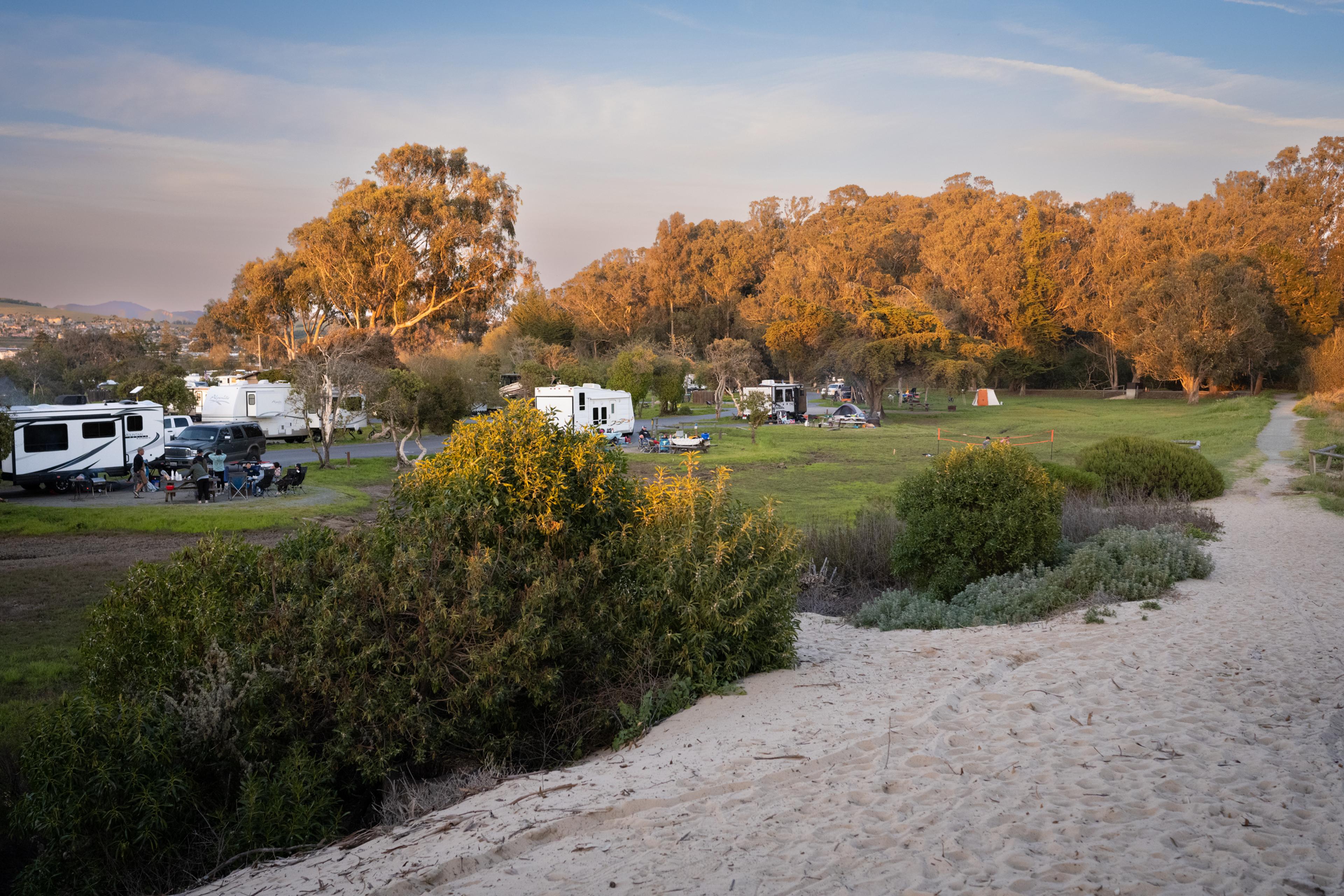 Pismo State Beach campground at golden hour with a sand path leading over the dunes toward the beach Pismo State Beach campground at golden hour with a sand path leading over the dunes toward the beach