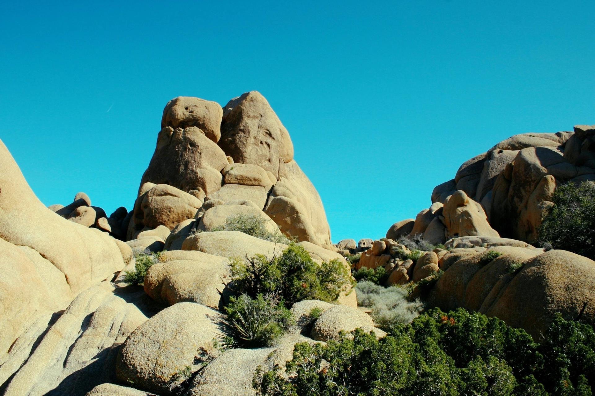 Joshua Tree National Park - Jumbo Rocks Campground Joshua Tree National Park - Jumbo Rocks Campground