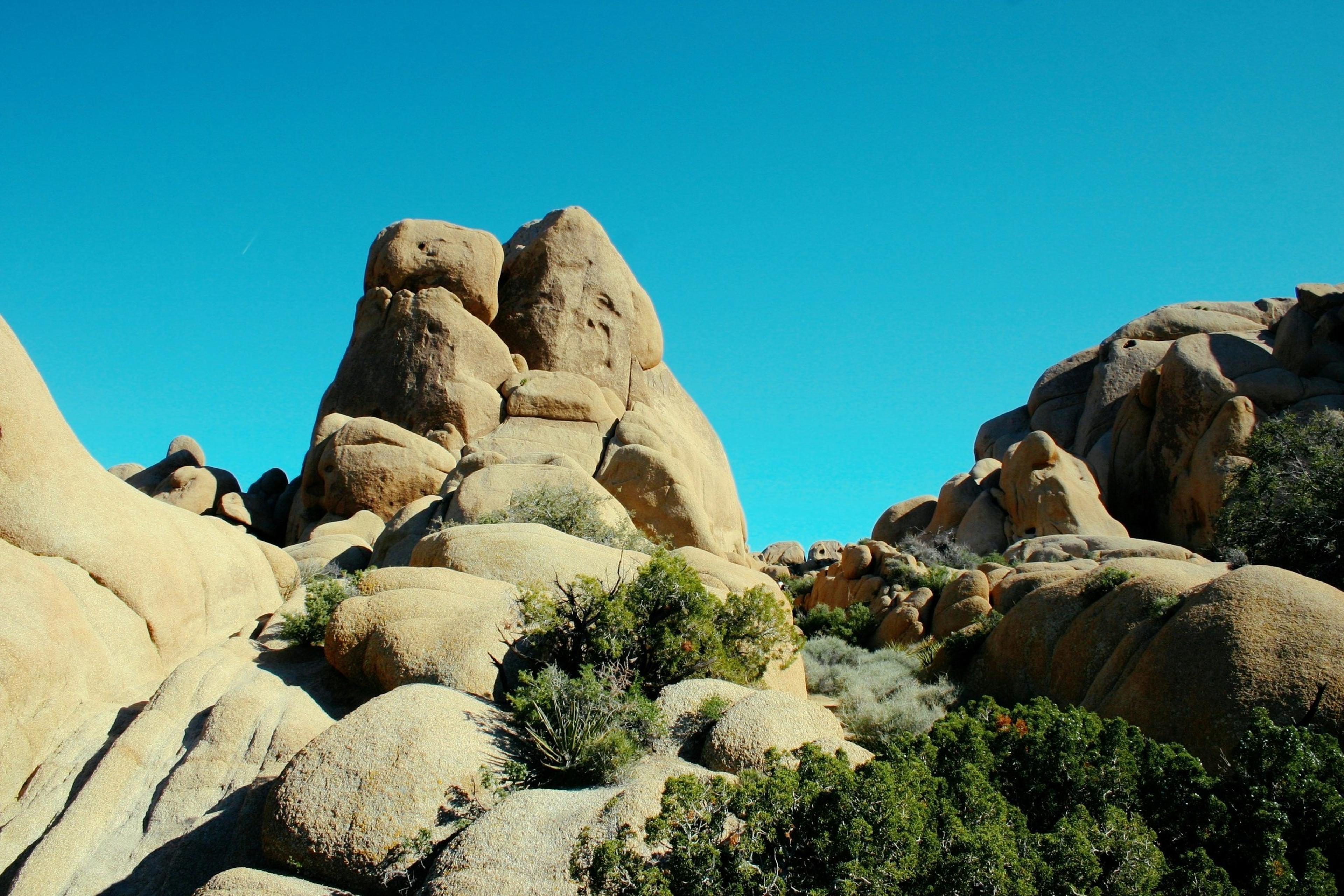 Joshua Tree National Park - Jumbo Rocks Campground Joshua Tree National Park - Jumbo Rocks Campground