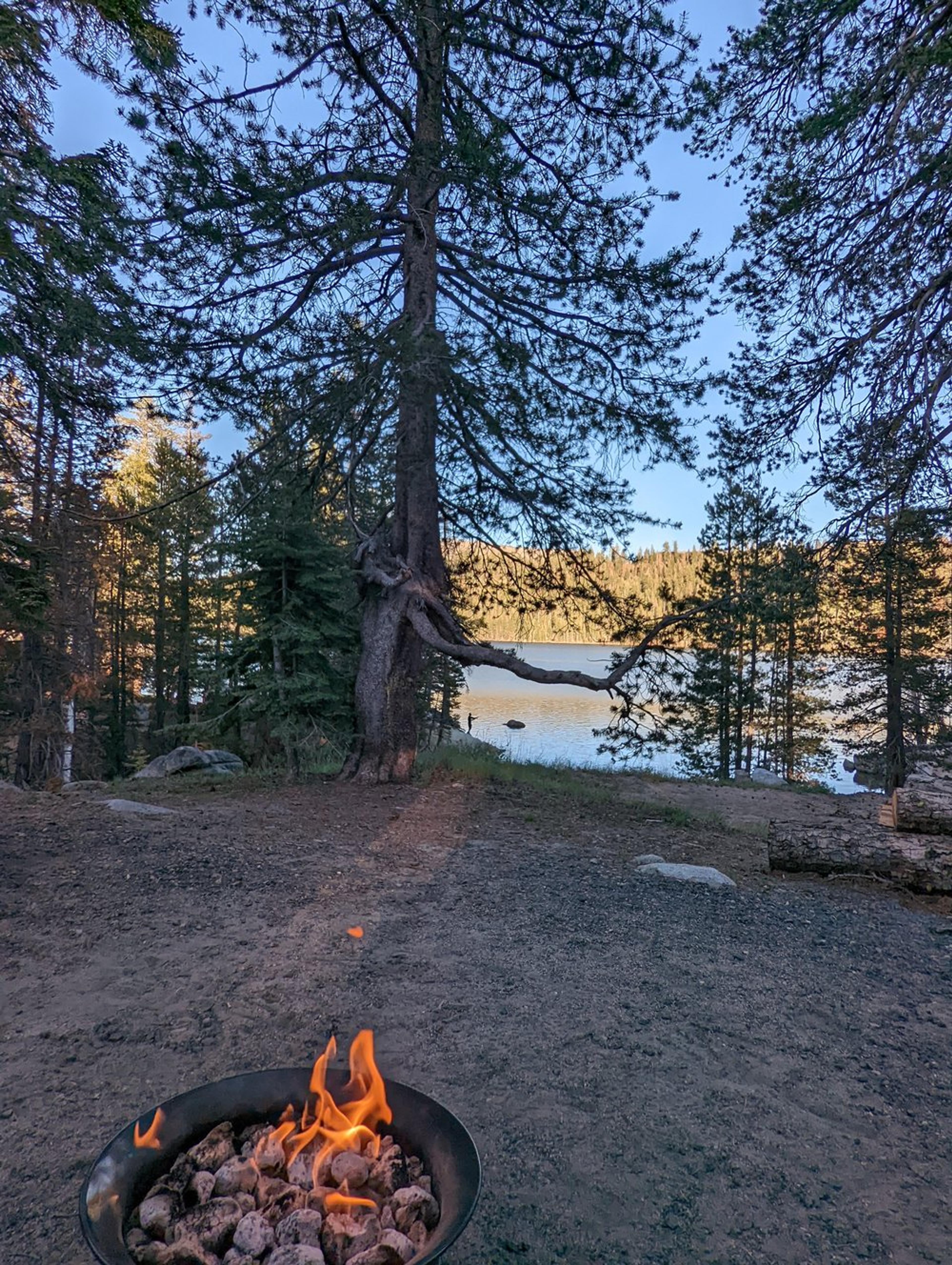 Campground Reservations