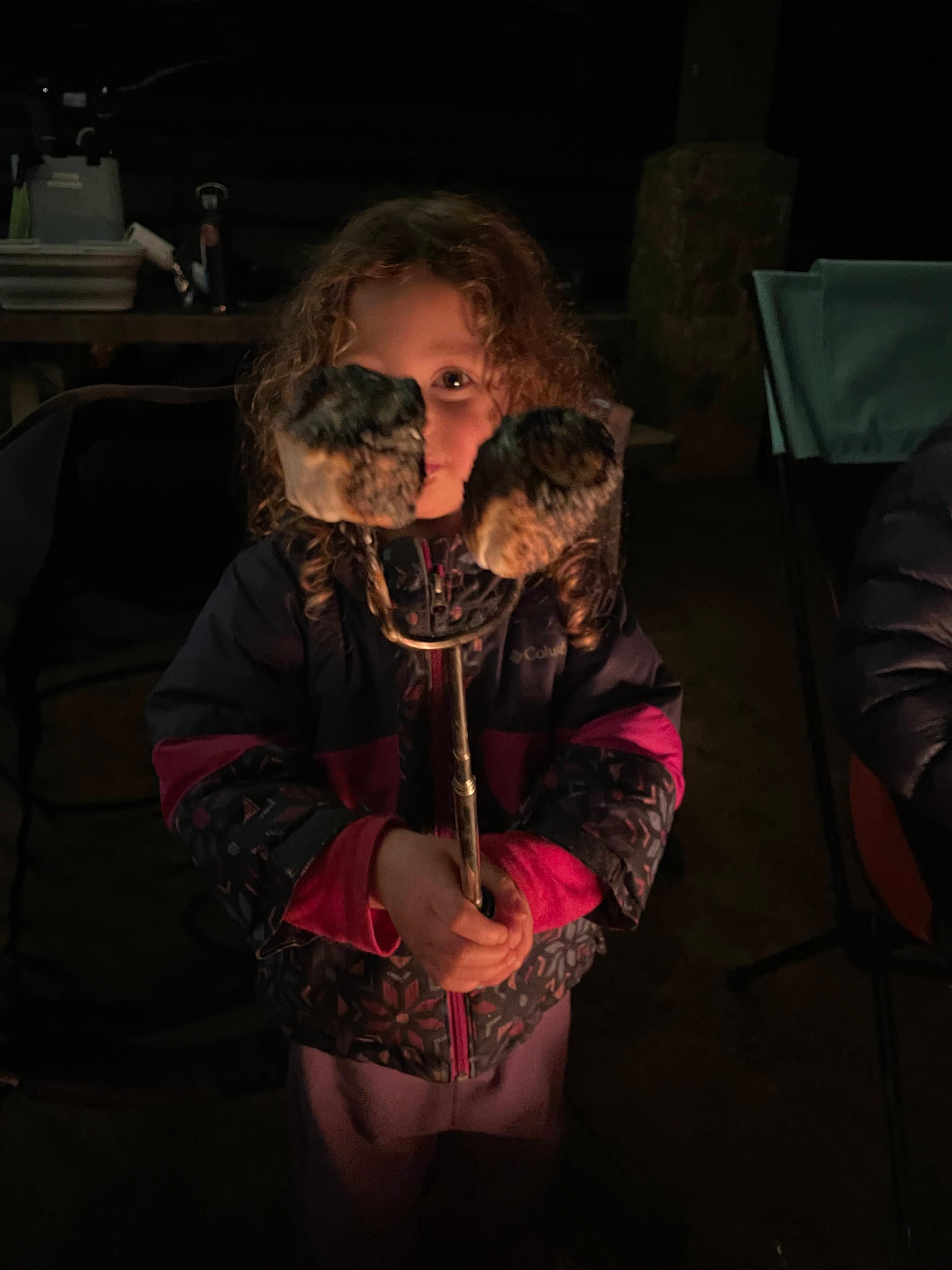 Young curly-haired girl in a purple Columbia jacket holding up a metal marshmallow roasting fork with two golden-brown perfectly toasted marshmallows on it, lit by firelight in a dark campground at night Young curly-haired girl in a purple Columbia jacket holding up a metal marshmallow roasting fork with two golden-brown perfectly toasted marshmallows on it, lit by firelight in a dark campground at night