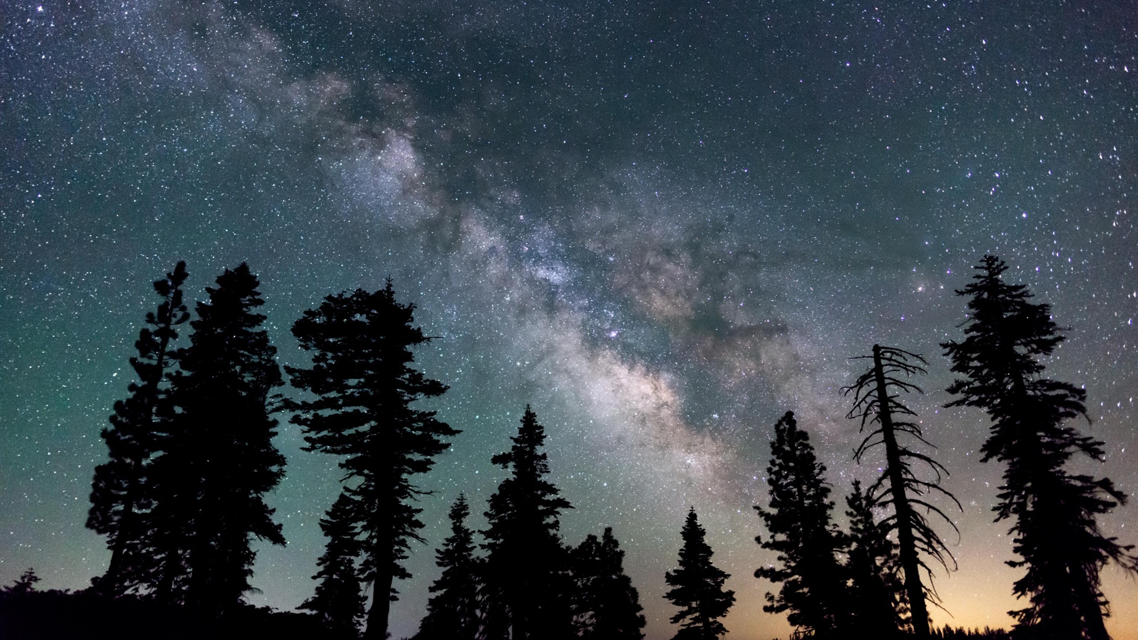 The Milky Way arching over silhouetted pine trees in the dark sky above Lassen Volcanic National Park