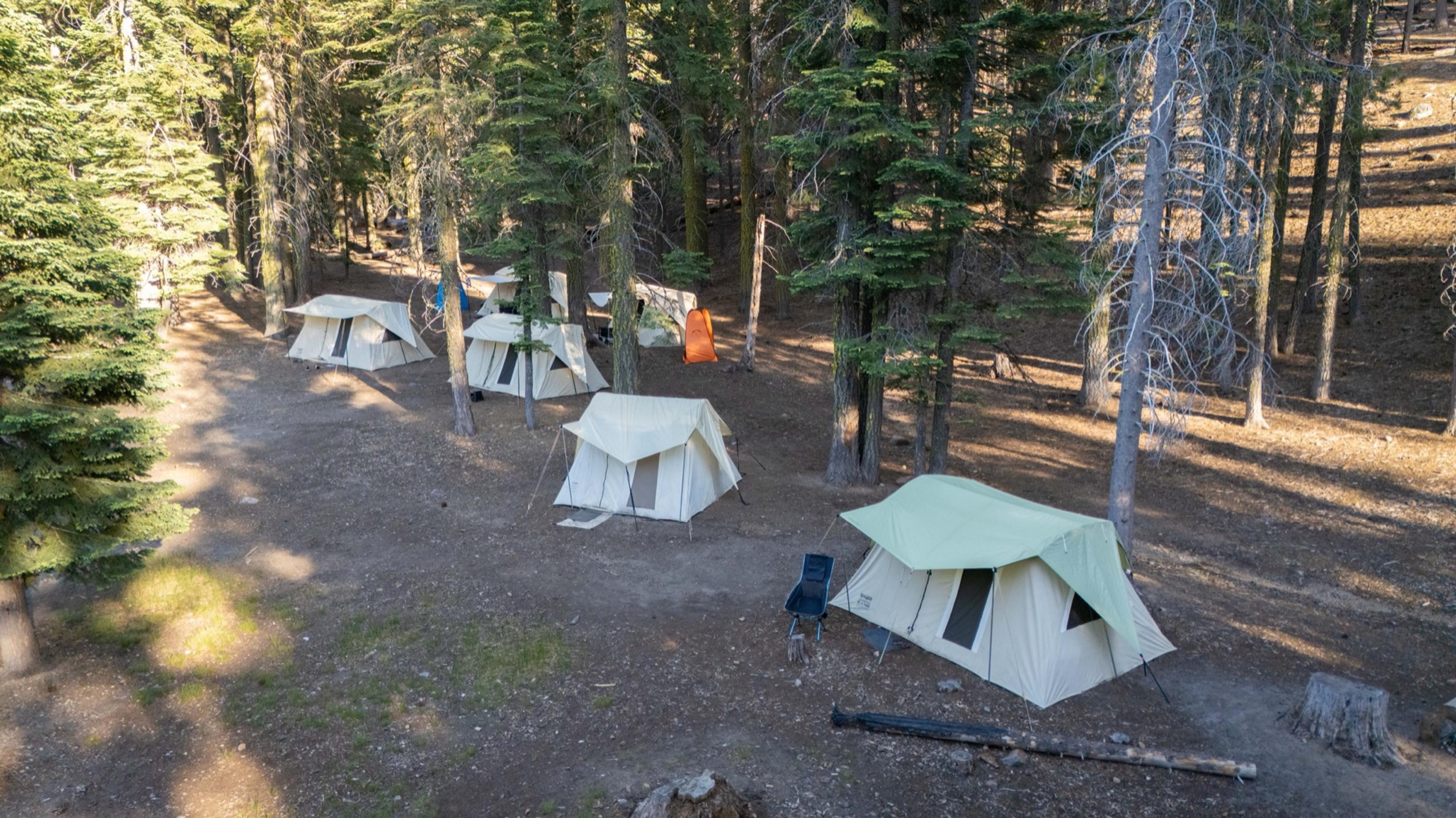 Aerial view of canvas wall tents spaced along a forest road at a Lassen group campsite
