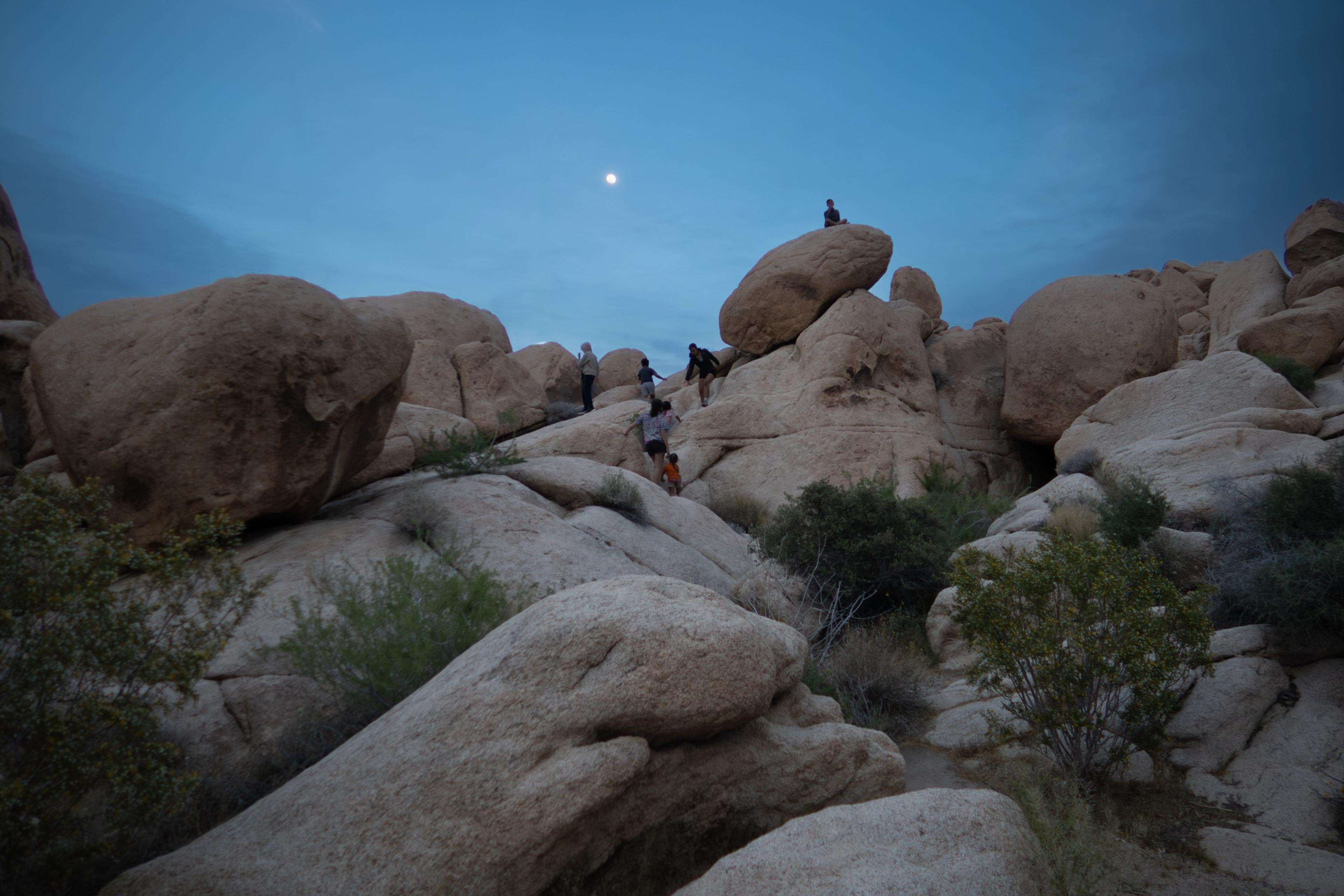 Group of campers climbing the massive granite boulders at Indian Cove at dusk under a full moon at Joshua Tree National Park
