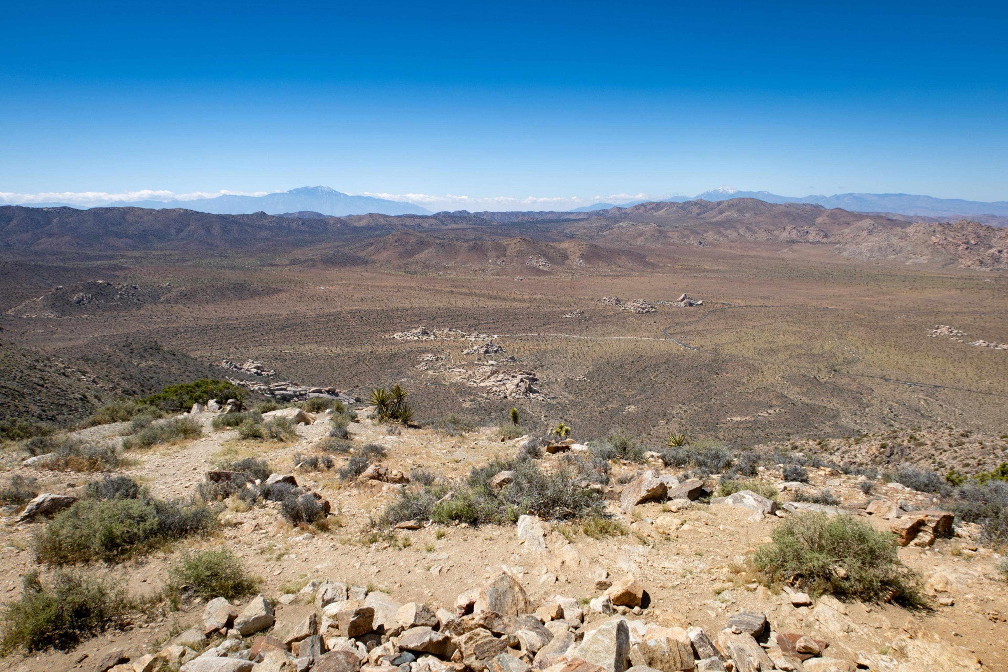 Wide-angle view from the summit of Ryan Mountain in Joshua Tree National Park showing the Mojave desert stretching to the horizon