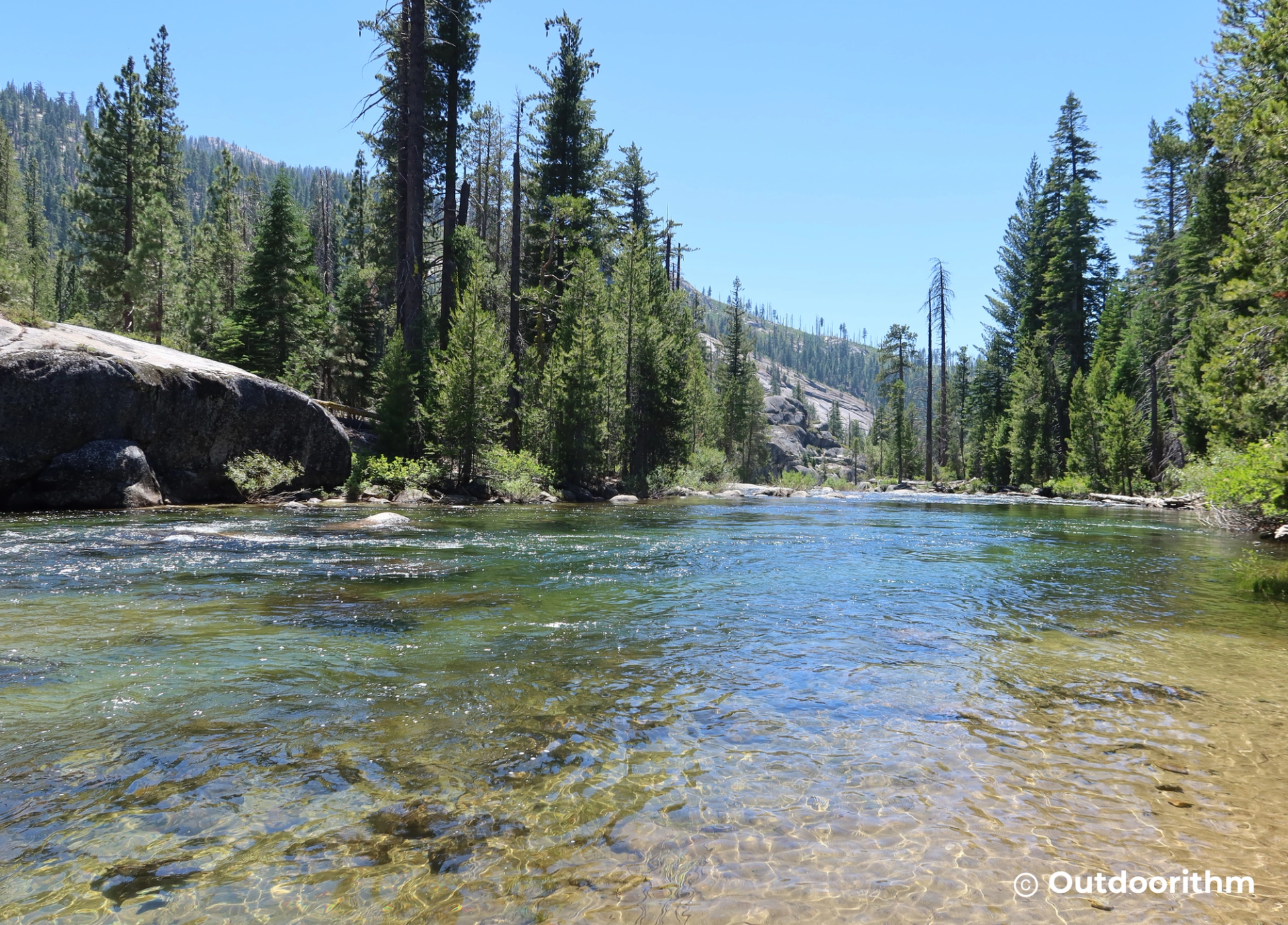 Yosemite Summer