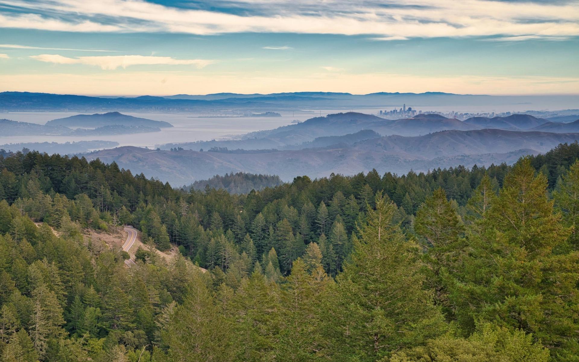 Mount Tamalpais State Park - Pantoll Campground Mount Tamalpais State Park - Pantoll Campground