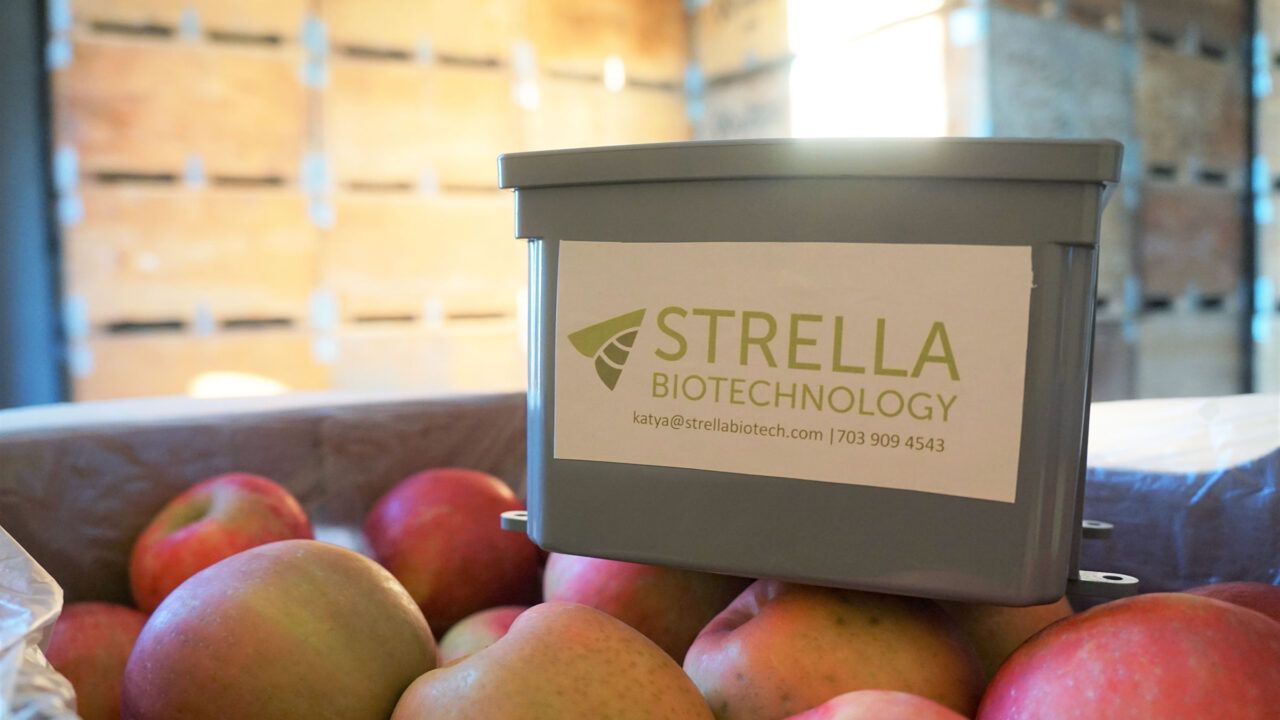 Strella Biotechnology