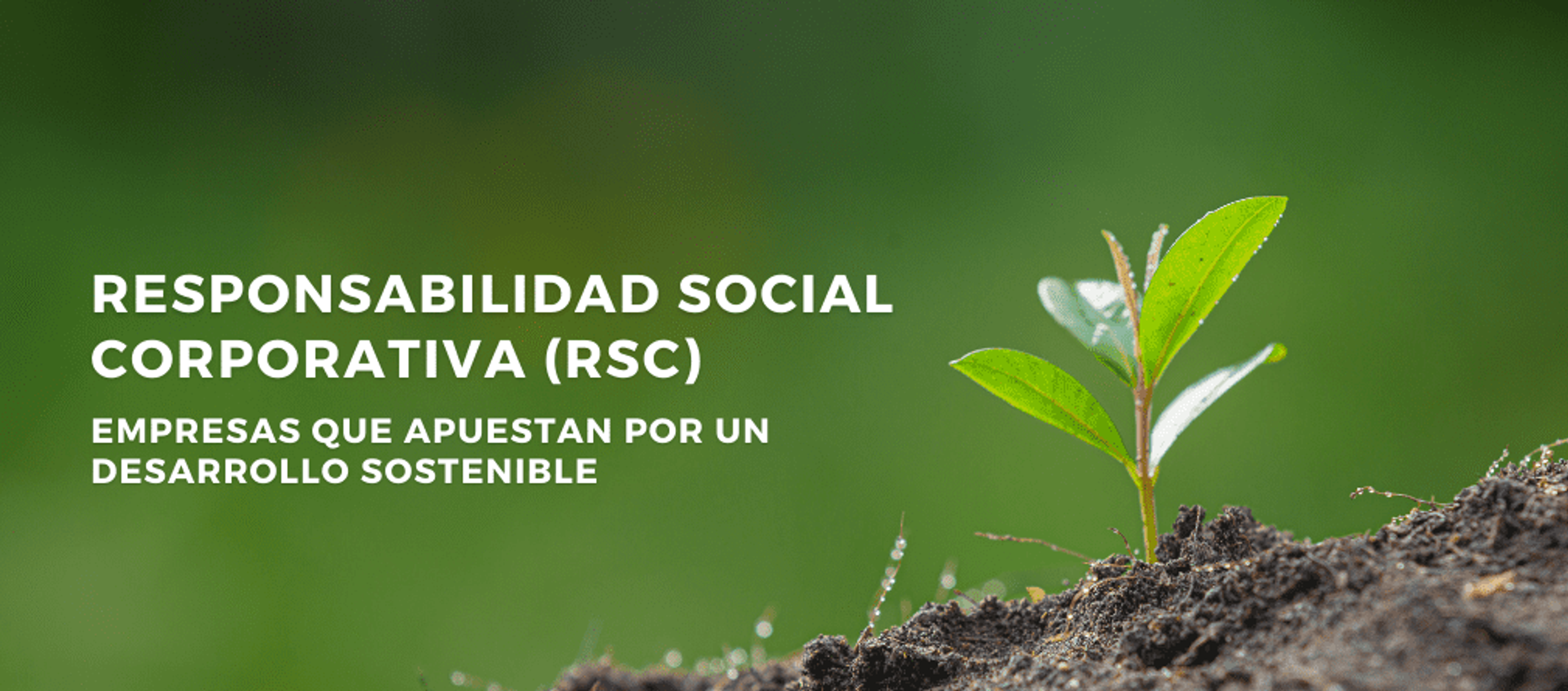 rsc
