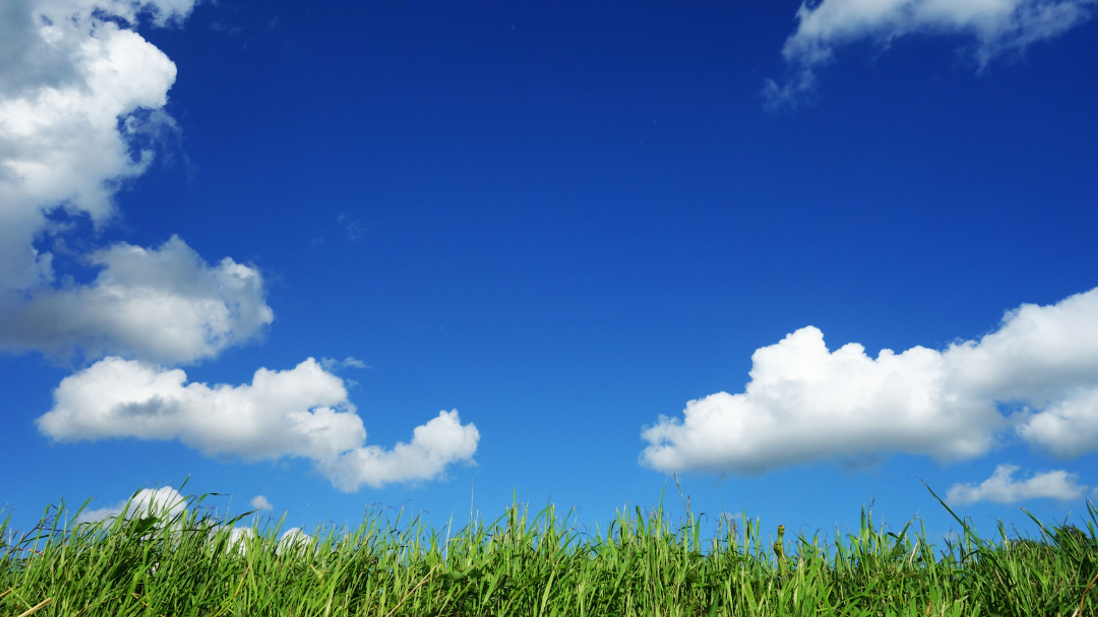 cielo