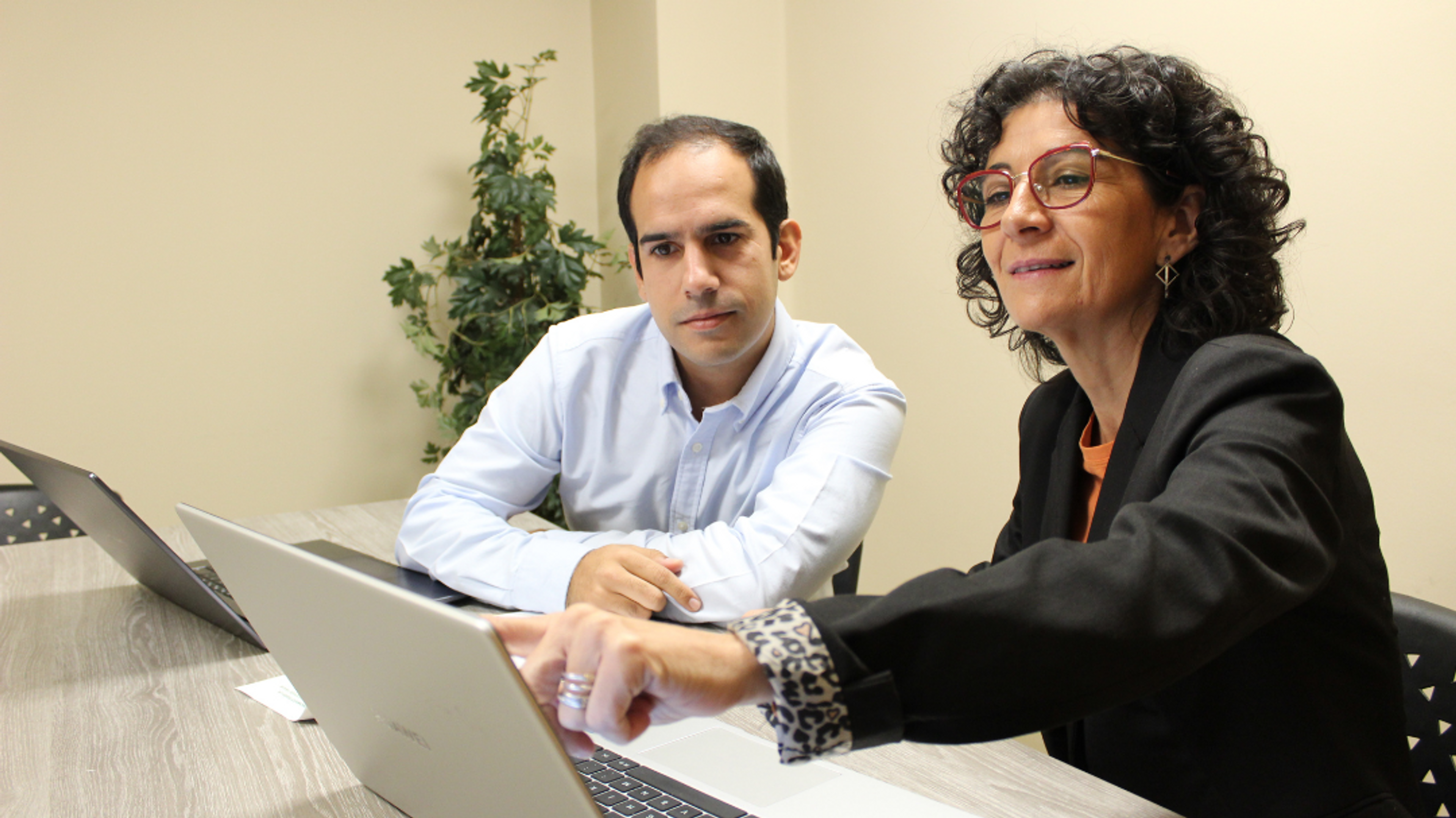 consultoria gse