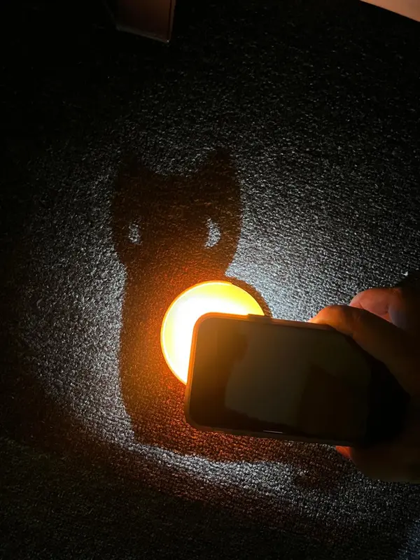 Cat Silhoutte