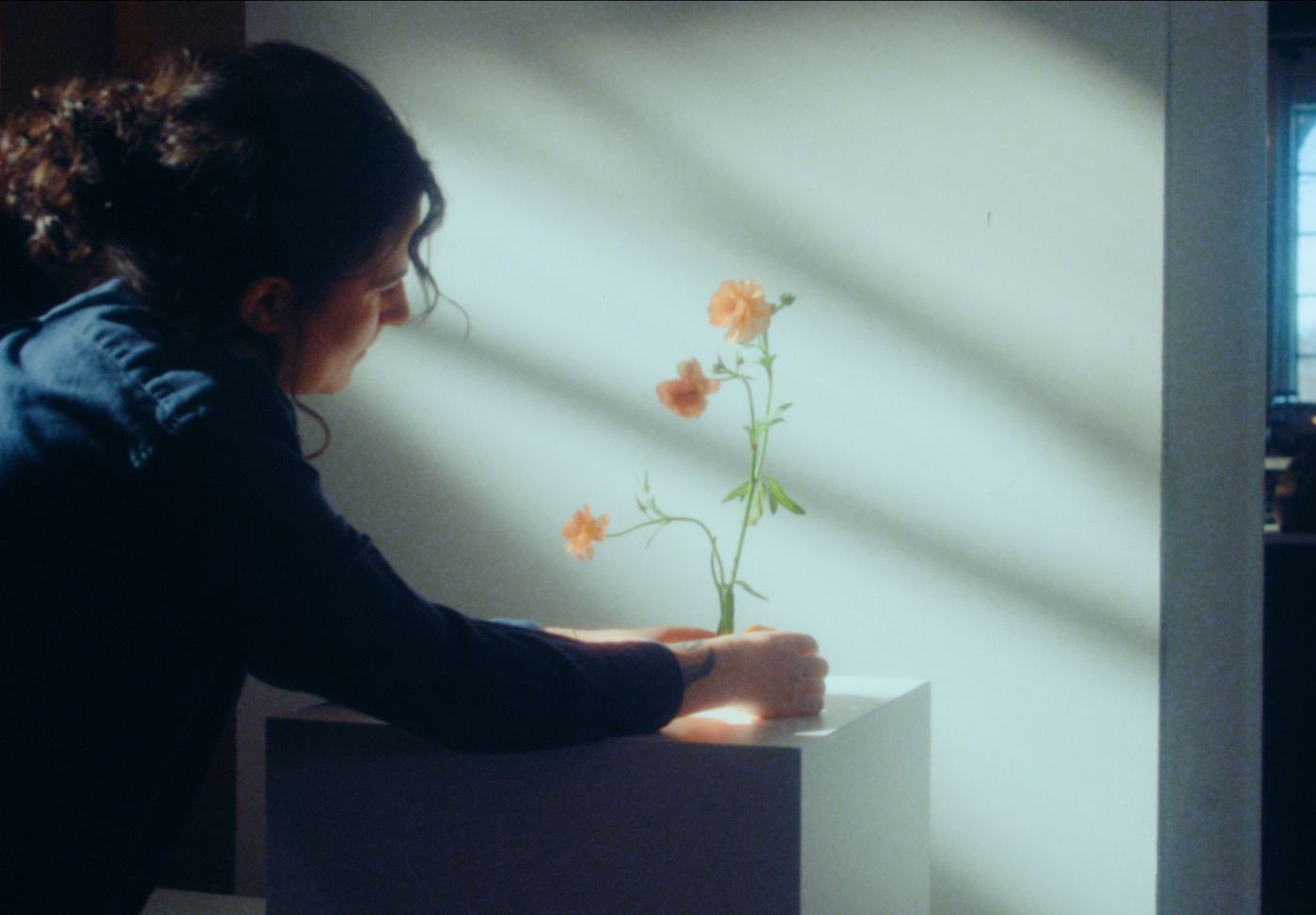 Pluck Flowers Bottom Photo