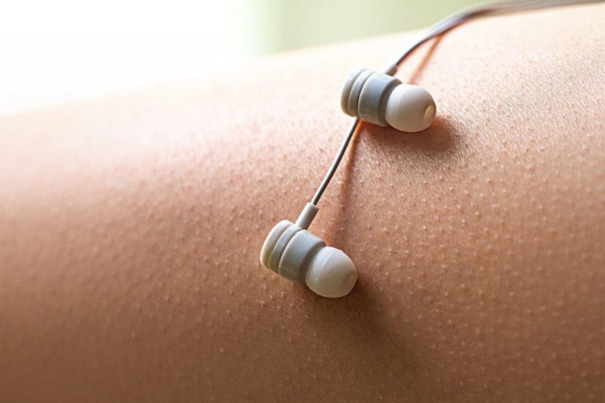 Song dynamics and content transfer