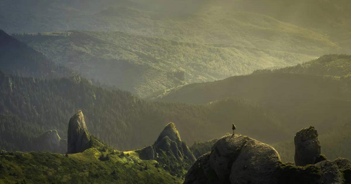 Doğa manzarası ve dijital dönüşüm teması