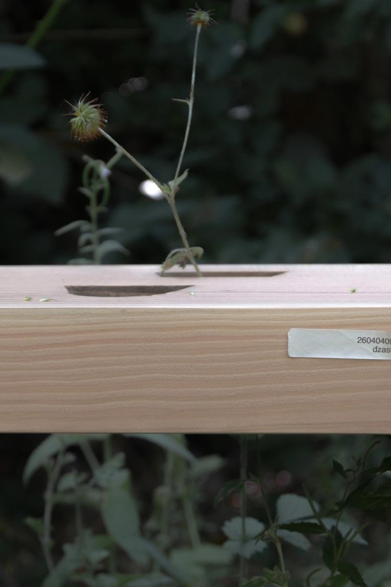 Douglas bench