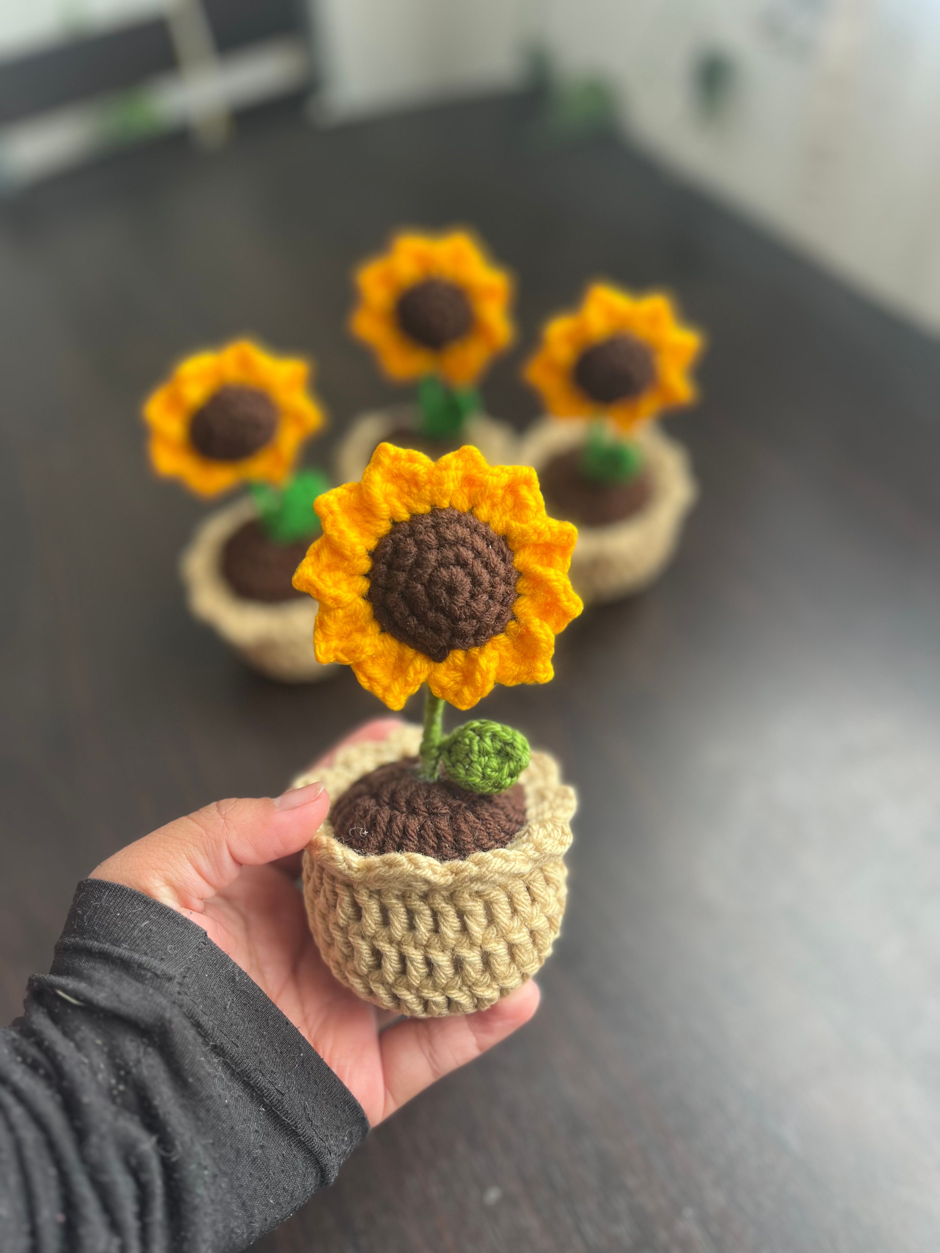 Maceta de girasol