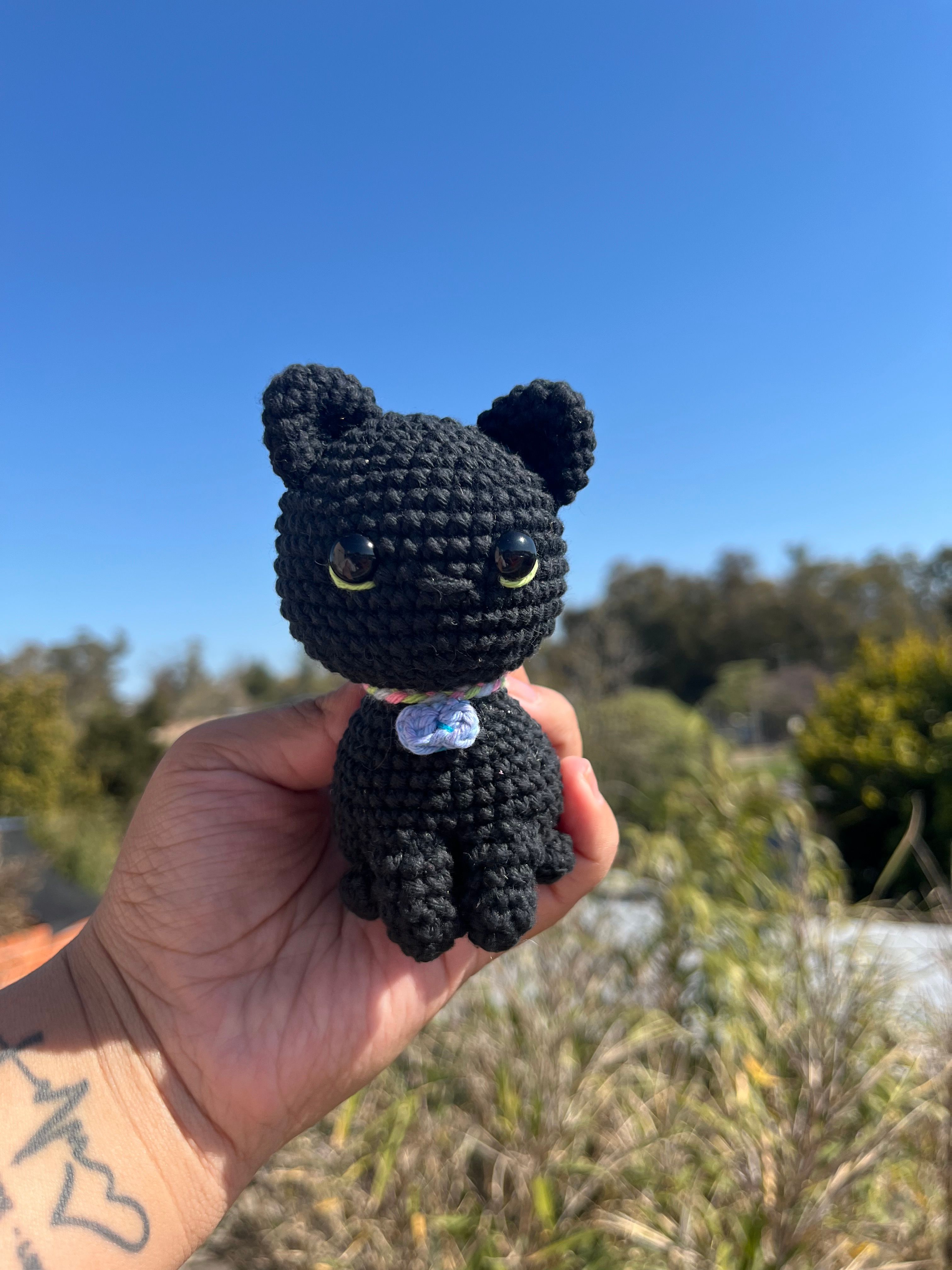 Gato Negro