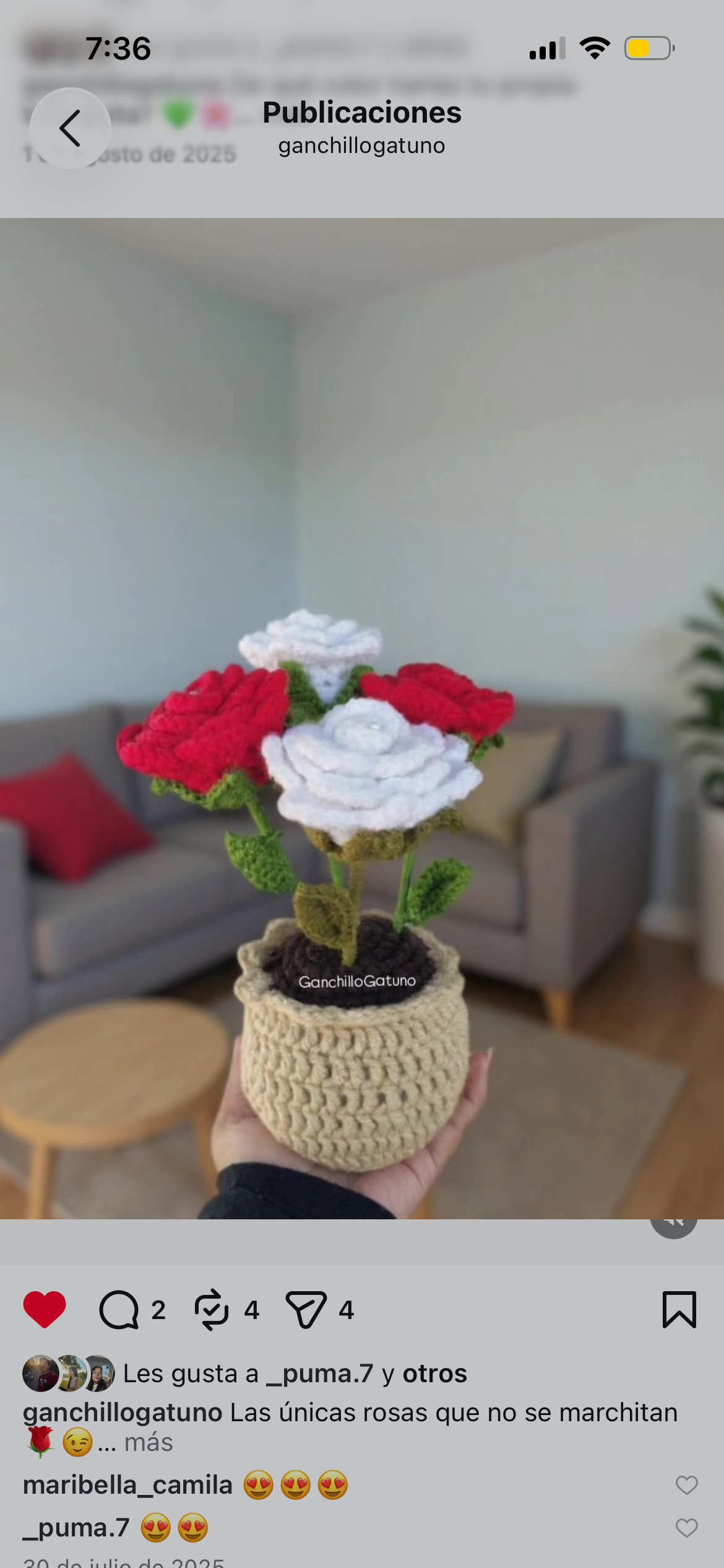 Maceta de rosas 