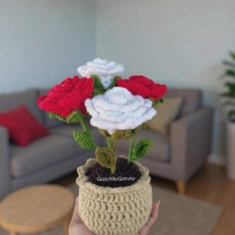 Maceta de rosas
