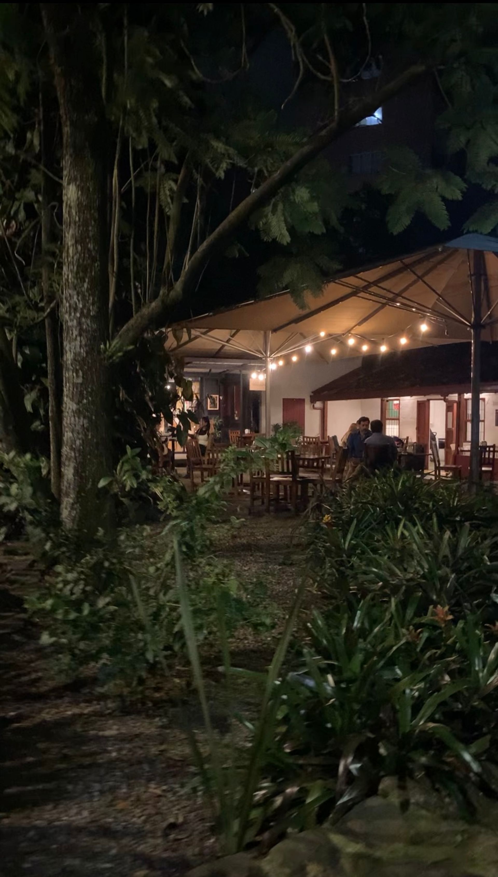 Garden view inside cafe otraparte at night 