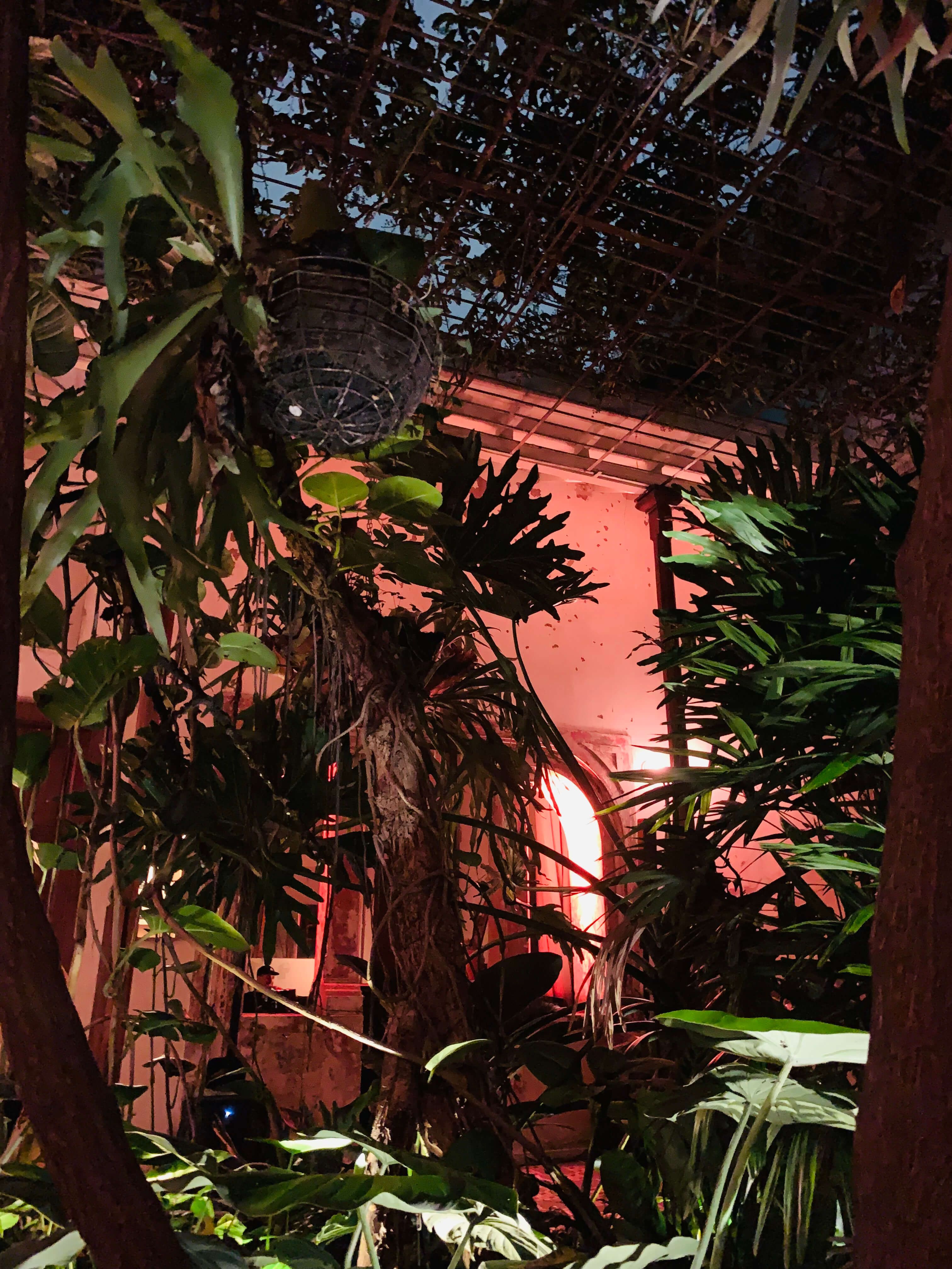 Garden of Bar Persona Medellin La Candelaria