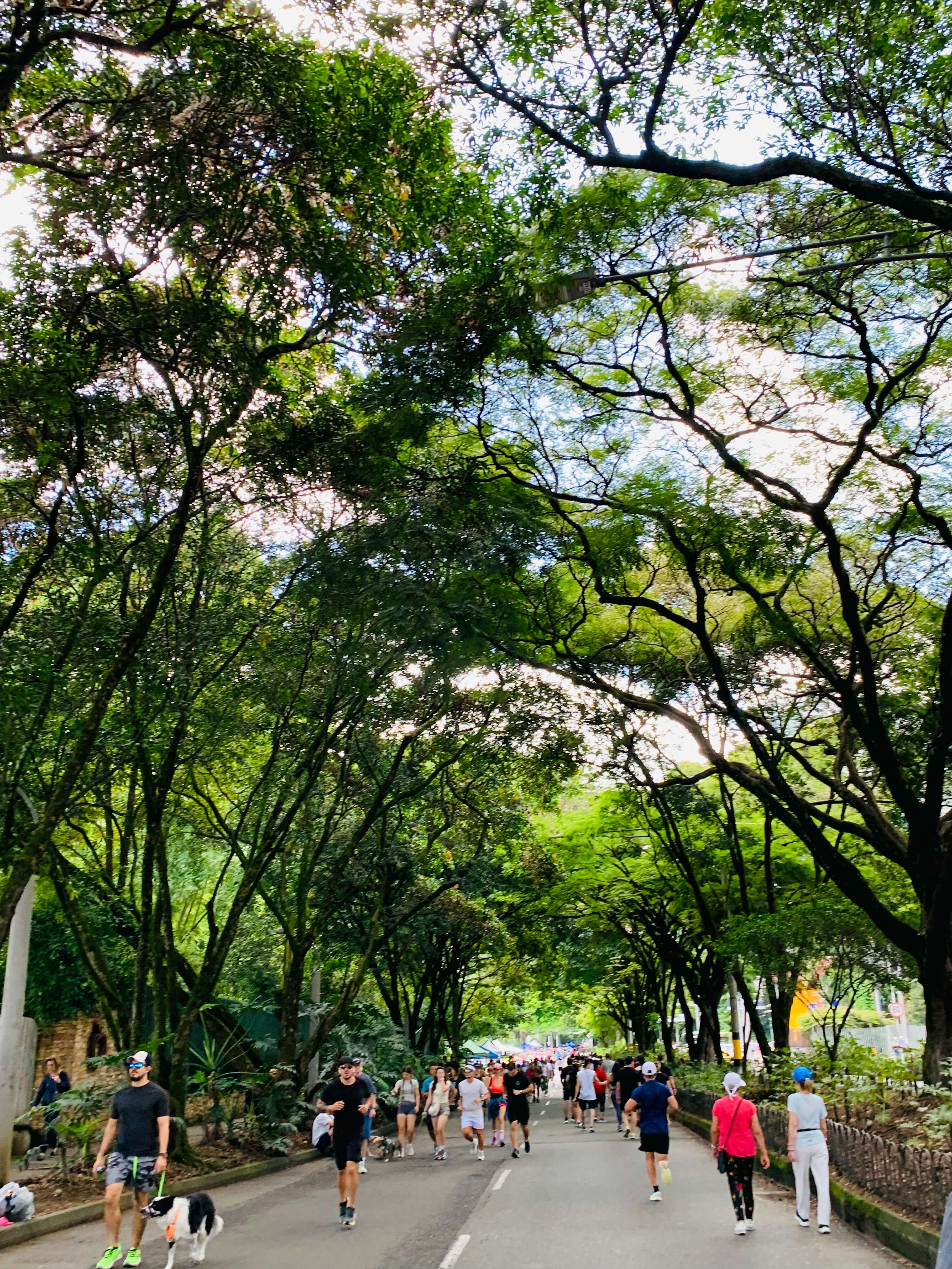View from ciclovia at el poblado medellin with people walking and running during the day