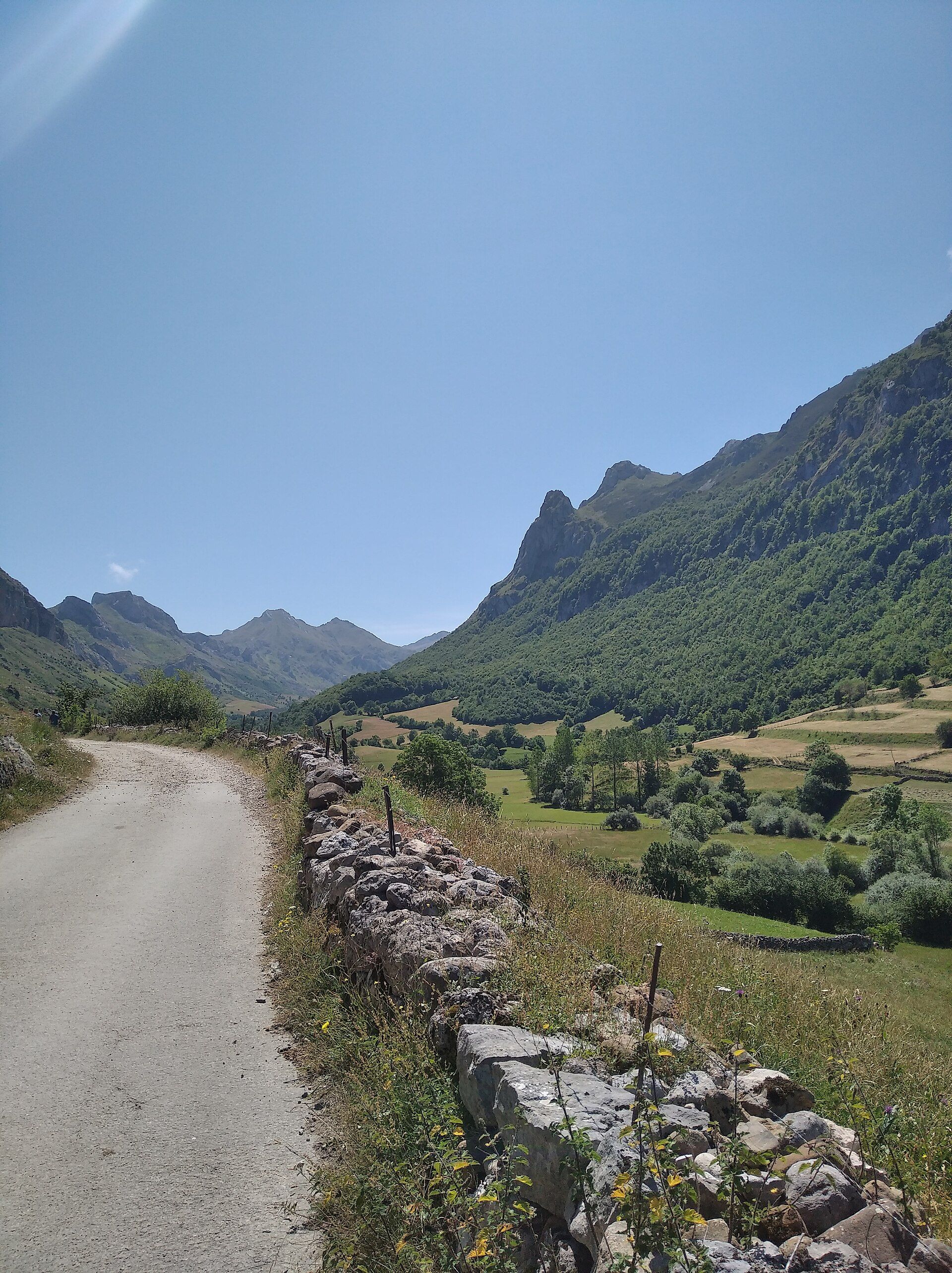 Senda del Oso y Somiedo