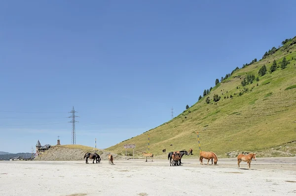 Vall de Boí y Port de la Bonaigua