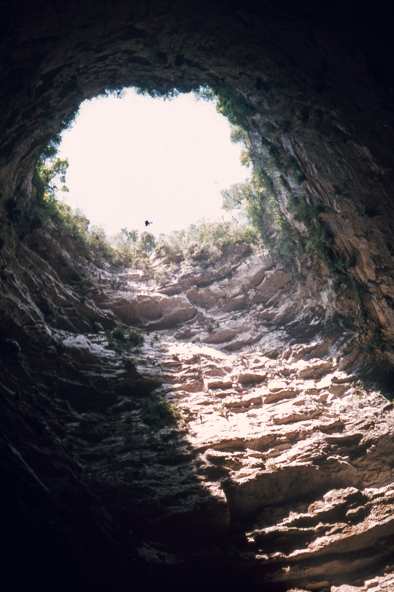 Vista desde el interior de una cueva vertical hacia la abertura superior, con paredes rocosas y vegetación.