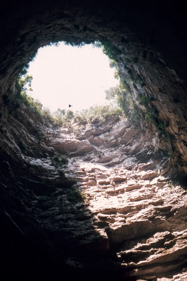 Vista desde el interior de una cueva vertical hacia la abertura superior, con paredes rocosas y vegetación.