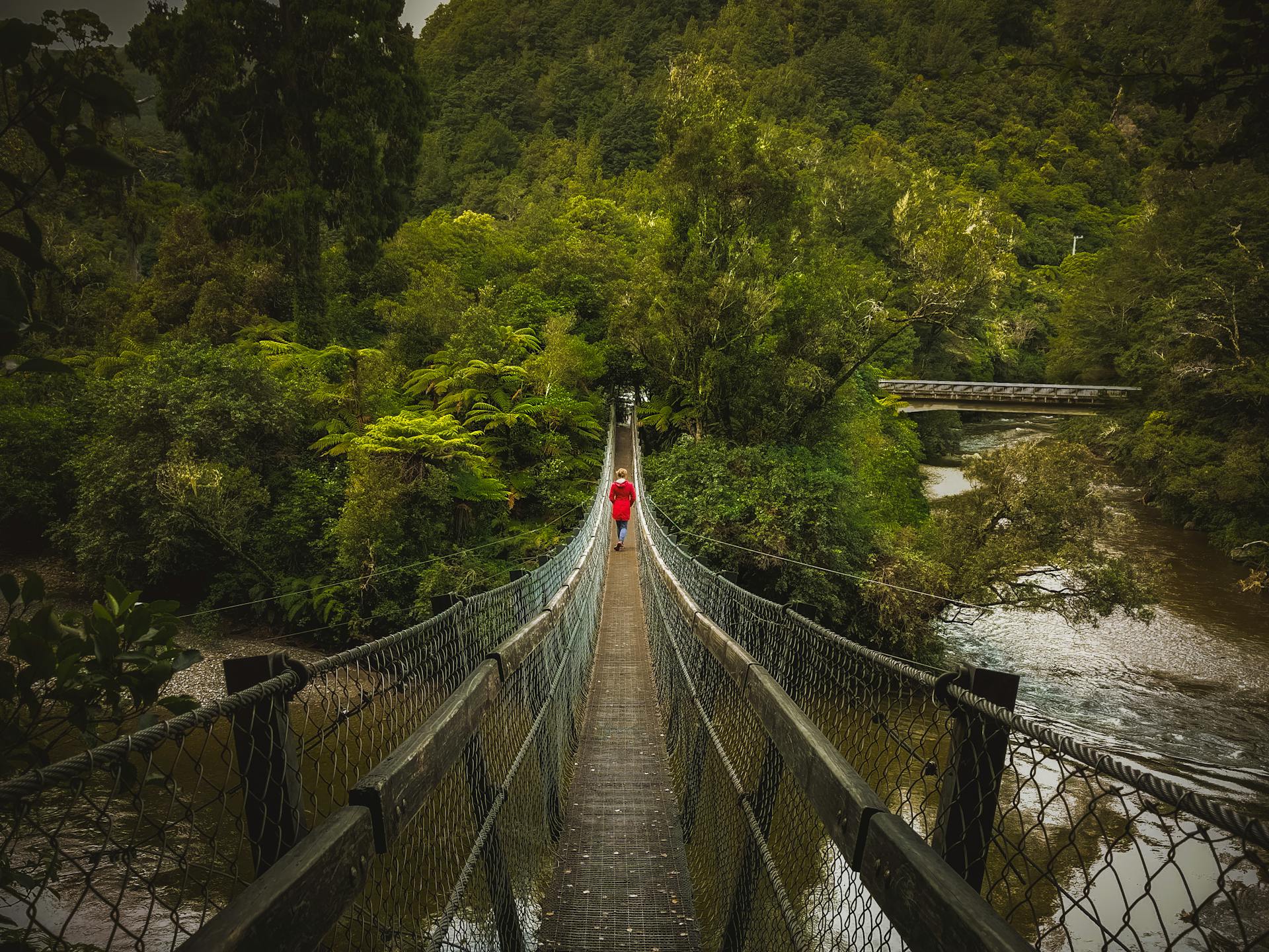 Una persona con chaqueta roja camina por un puente colgante sobre un río en un valle boscoso verde y exuberante