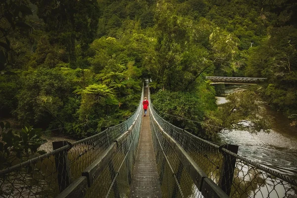 Puente colgante cruzando un río en medio de bosque verde exuberante