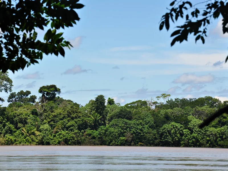 Río Madeira visto desde el interior del Parque Nacional Mapinguari.
