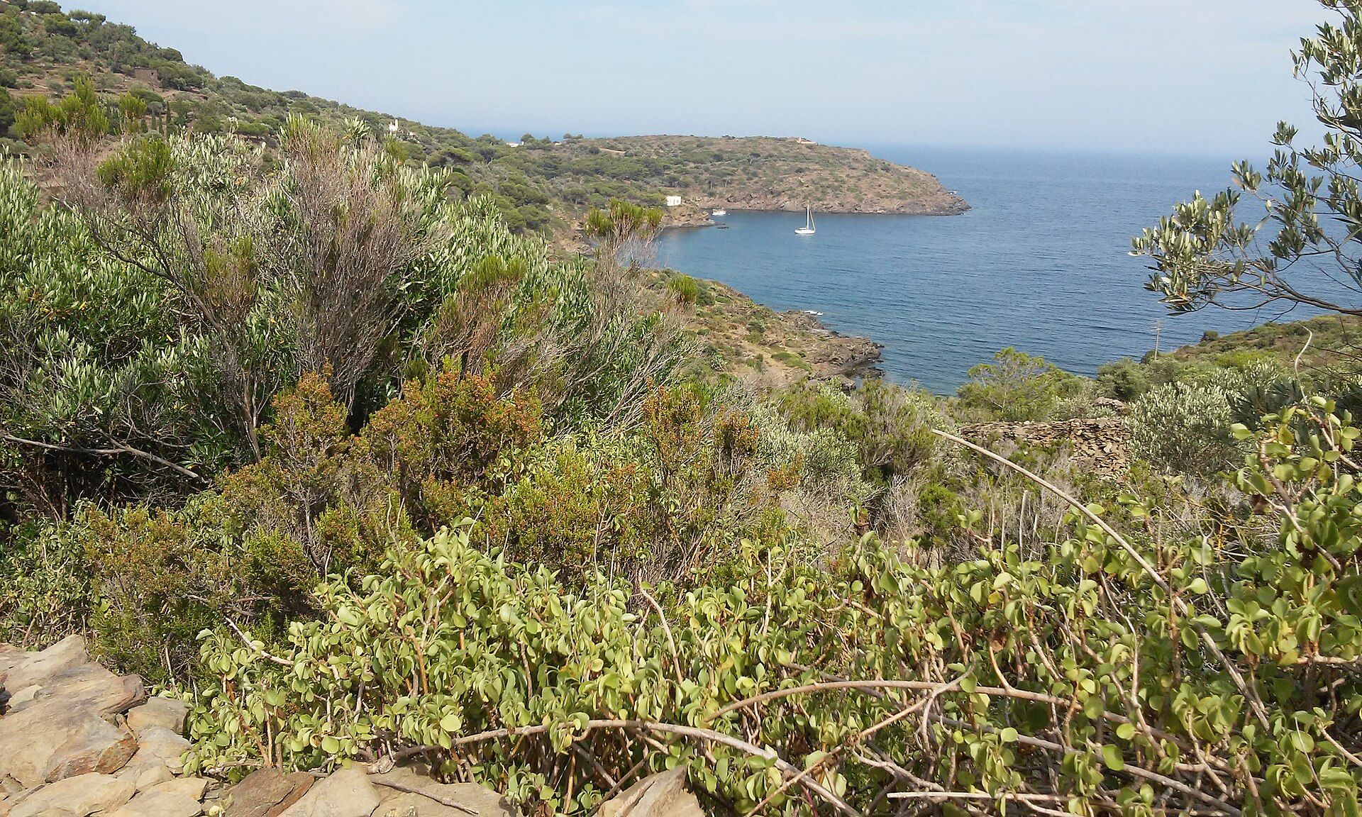 Cap de Creus y Empordà