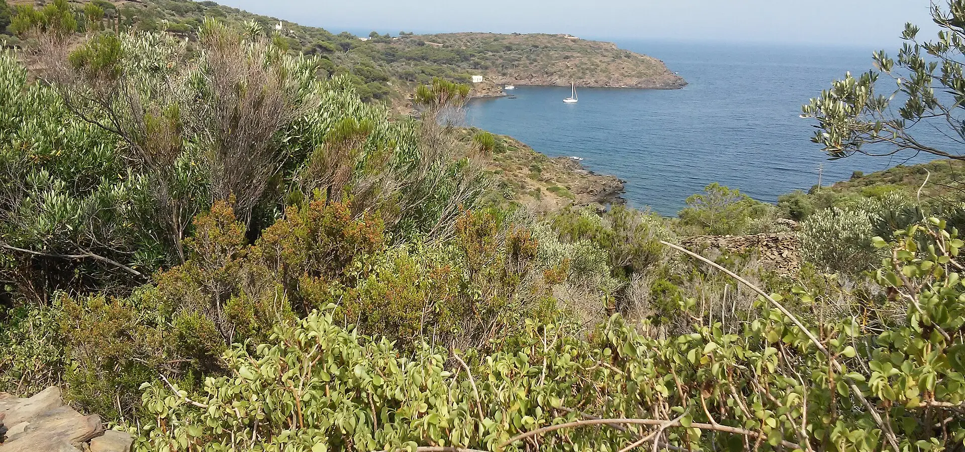 Cap de Creus y Empordà