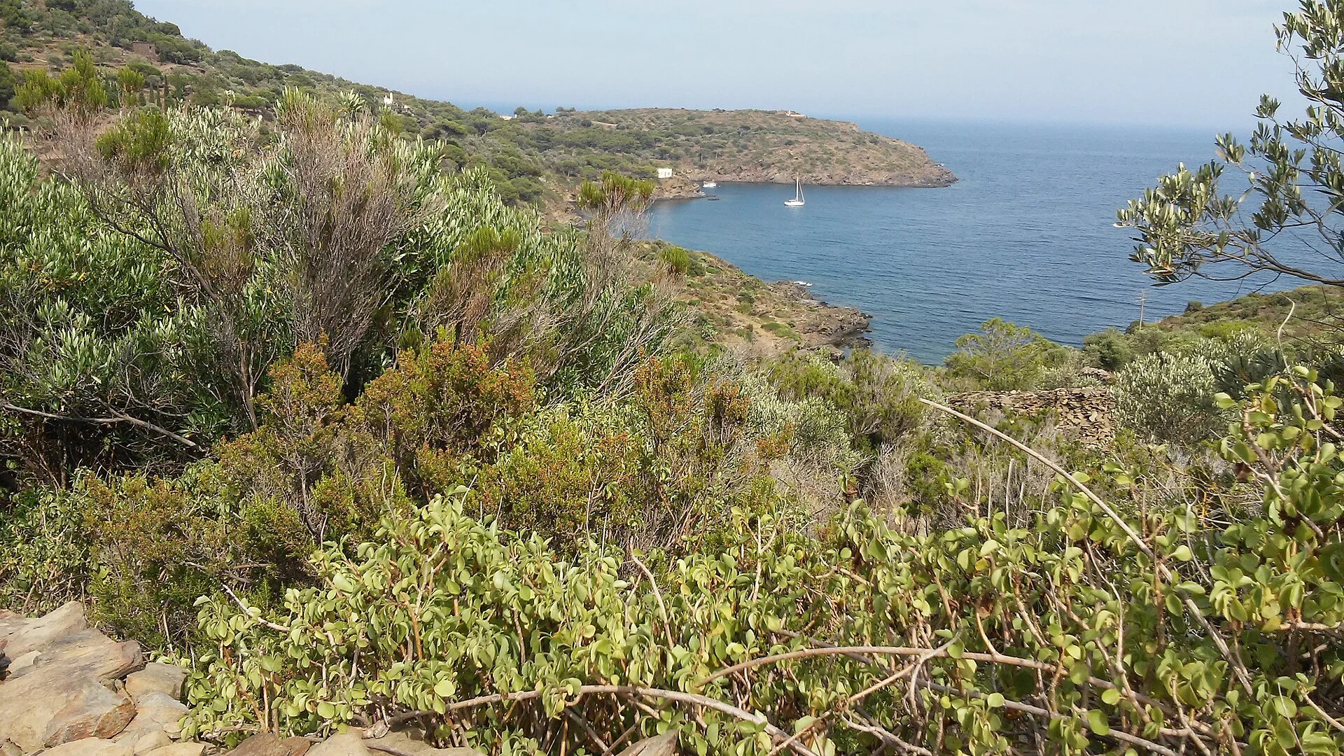 Cap de Creus y Empordà