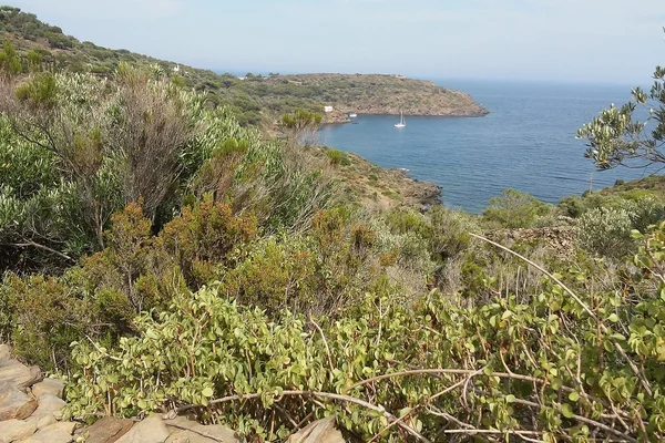Cap de Creus y Empordà